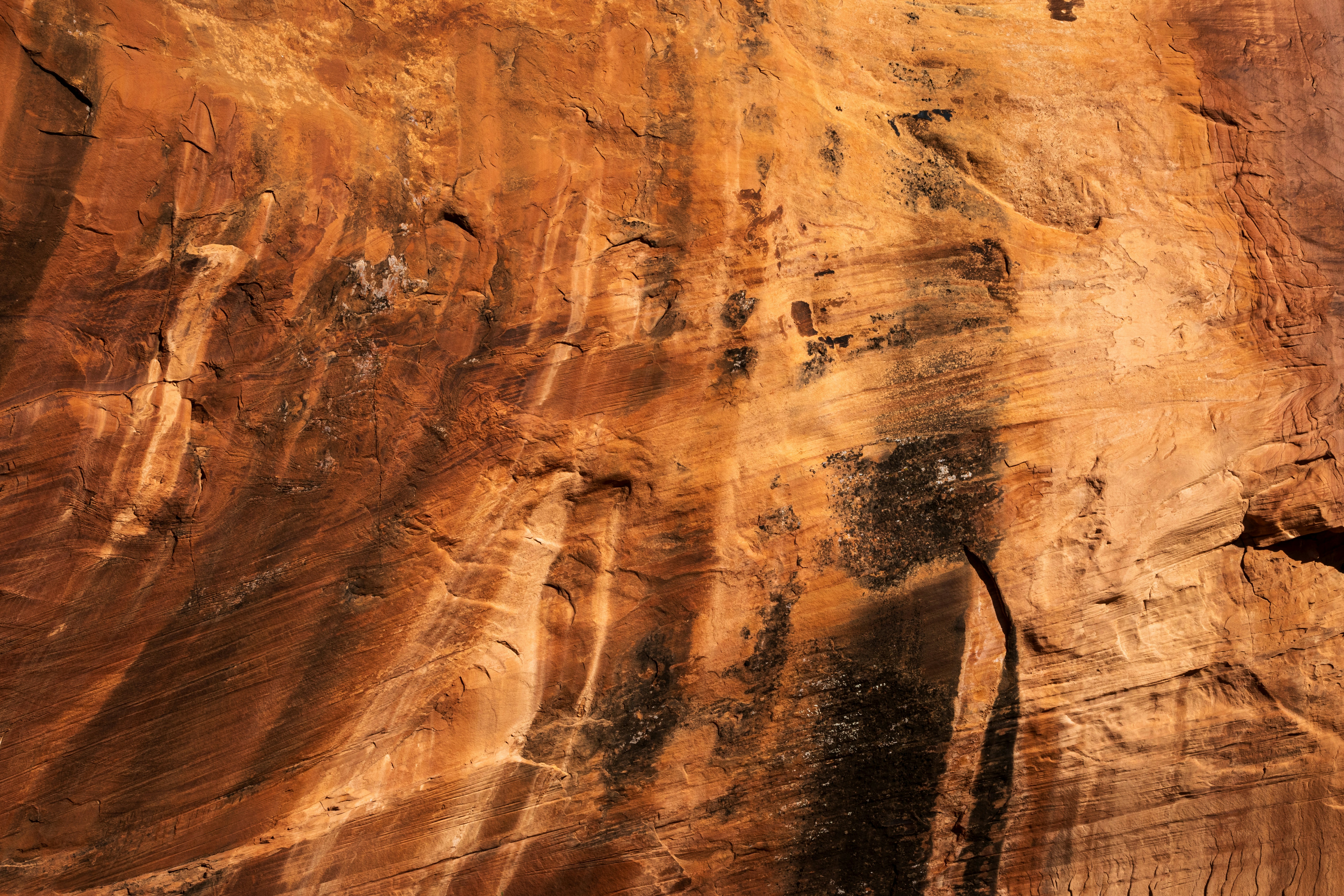 Photo by brandonstoll