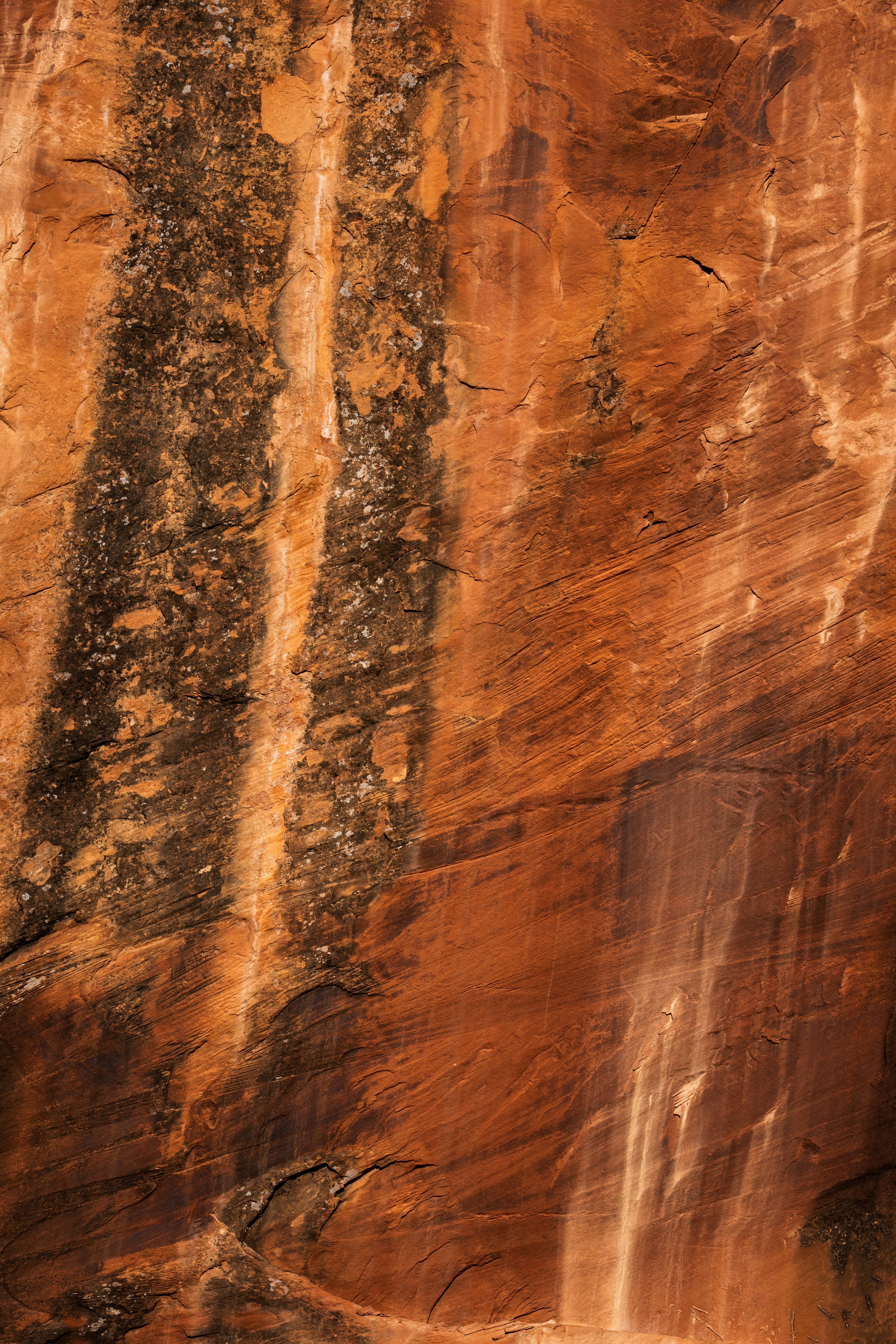 Photo by brandonstoll