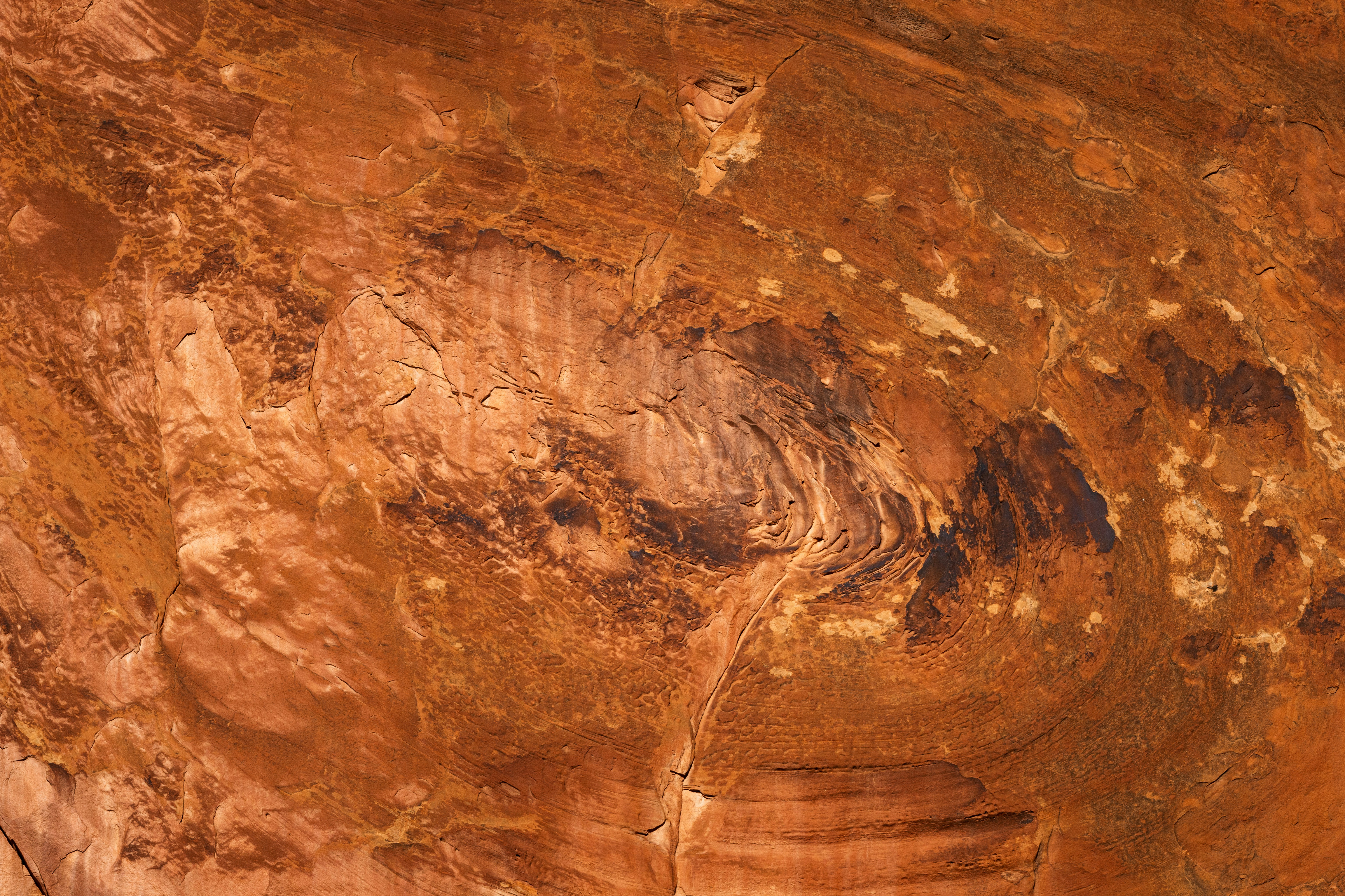 Photo by brandonstoll