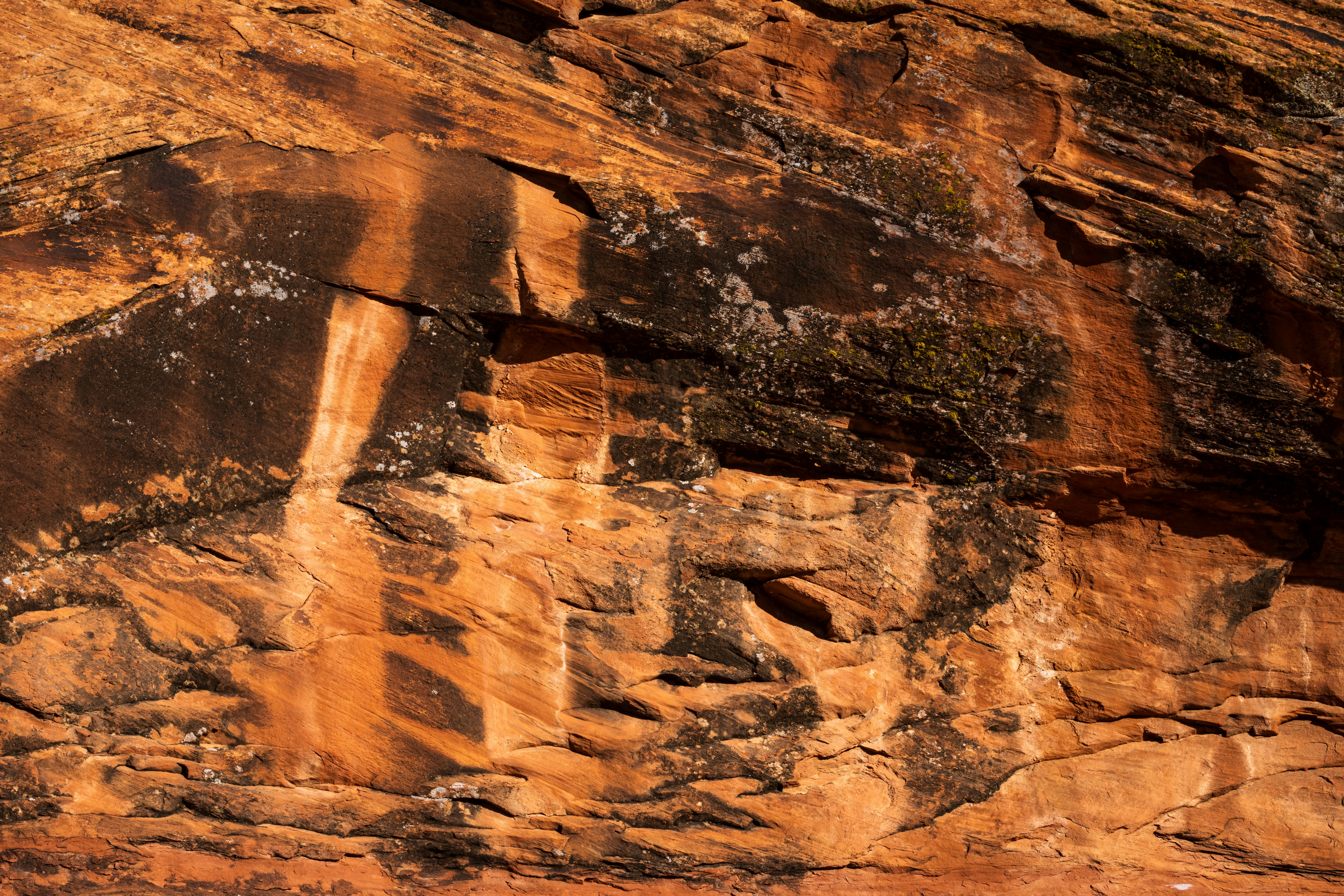 Photo by brandonstoll