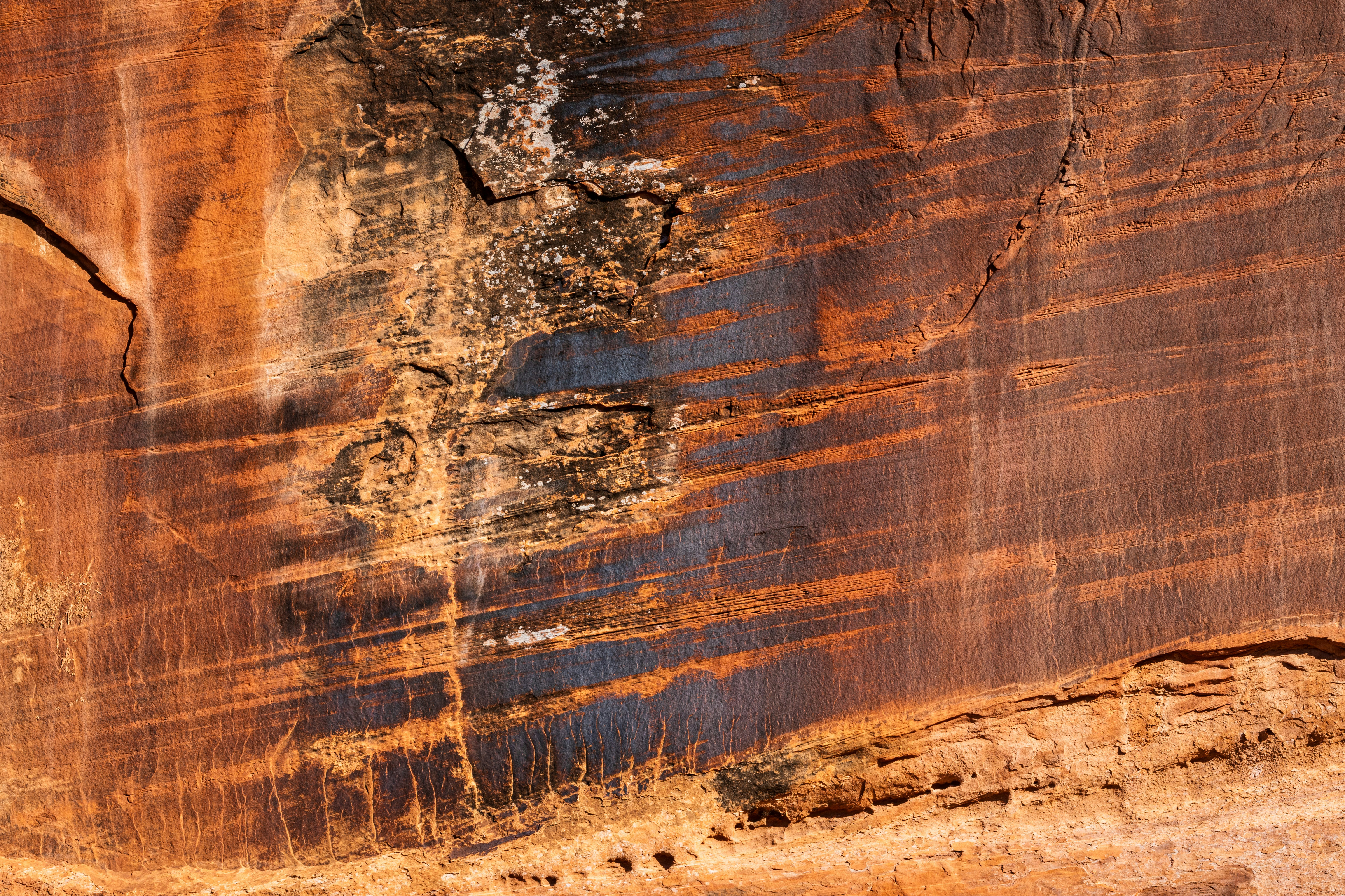 Photo by brandonstoll