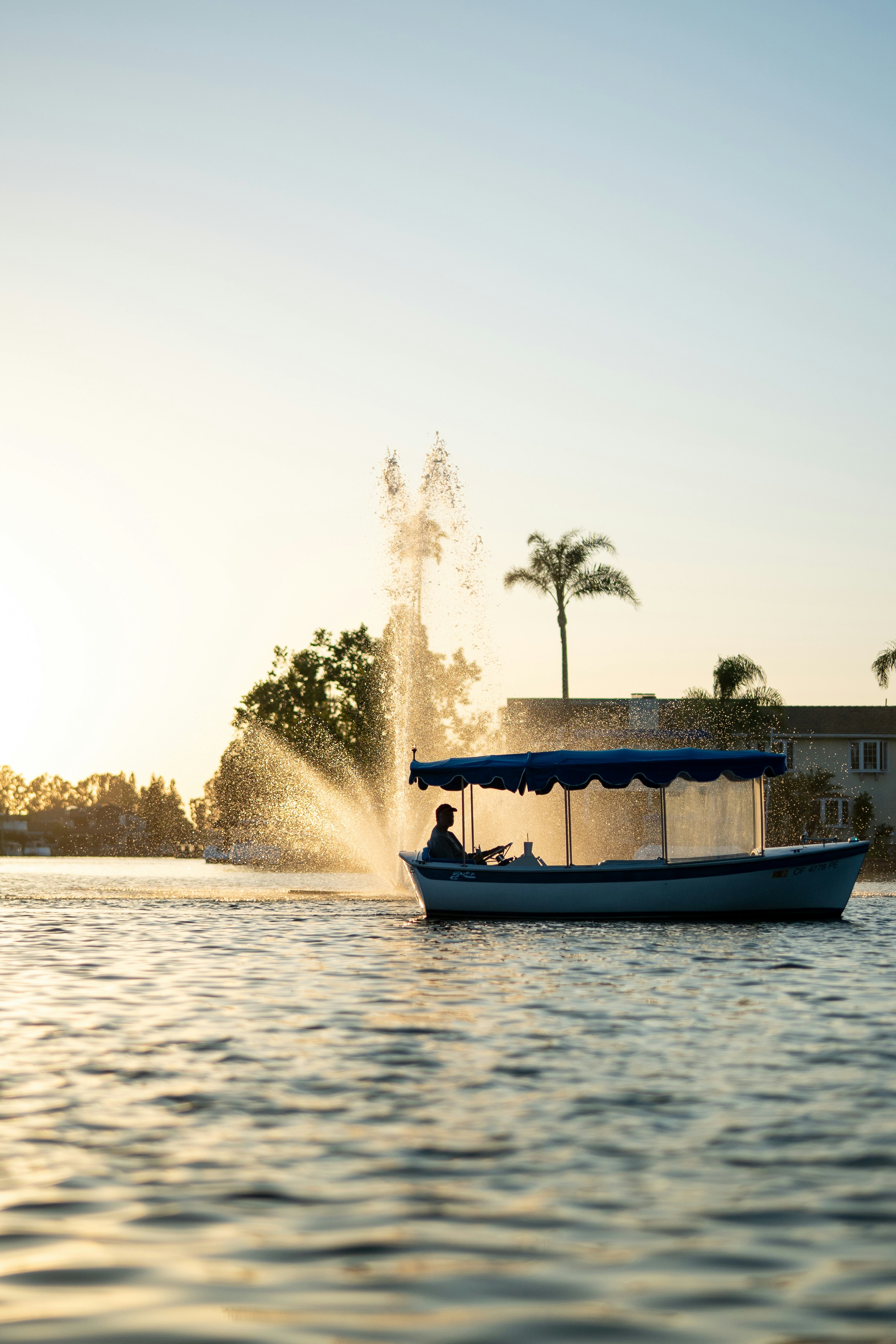a blue boat traveling down a river next to a palm tree