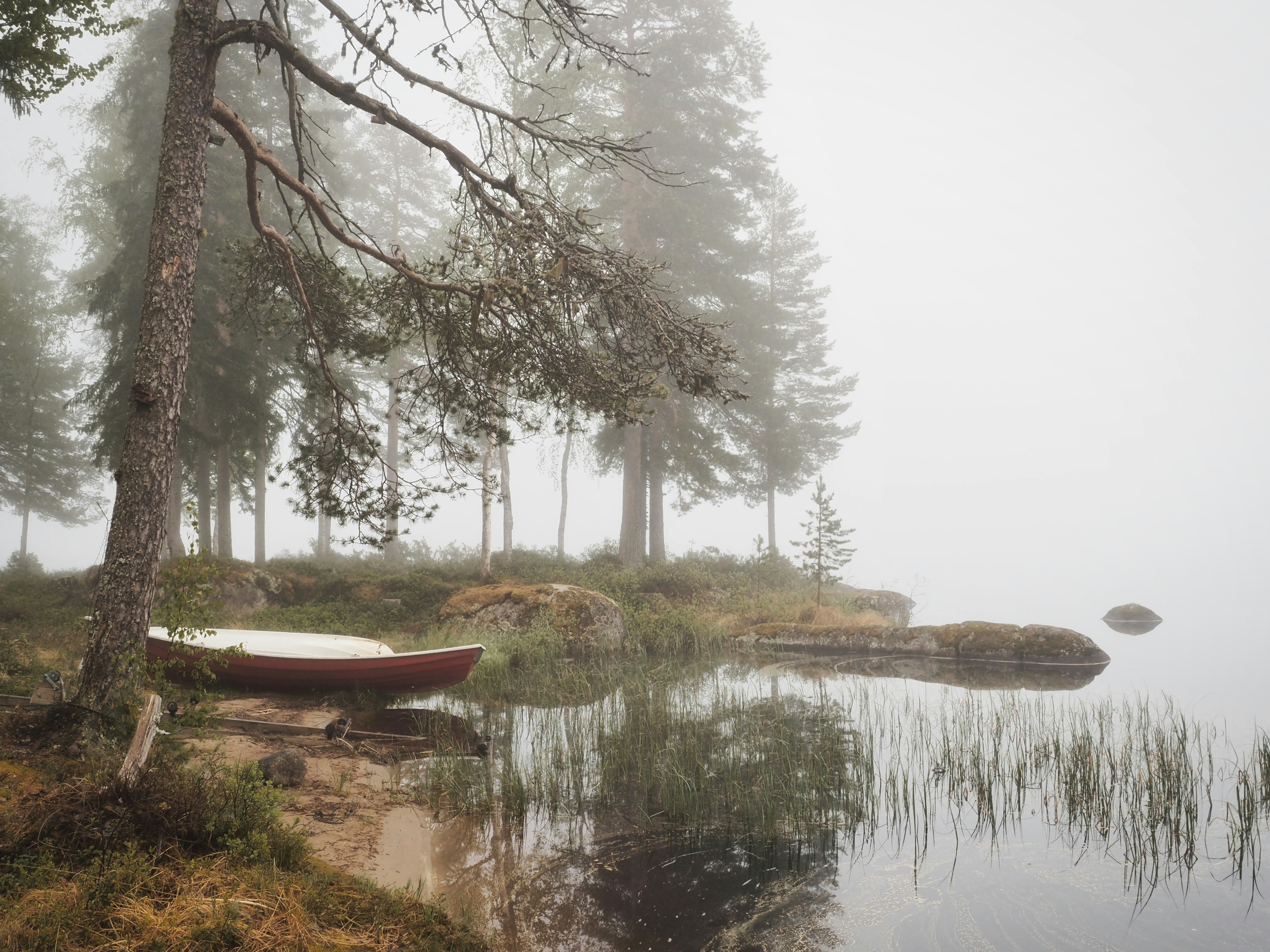 a boat sitting on the shore of a lake