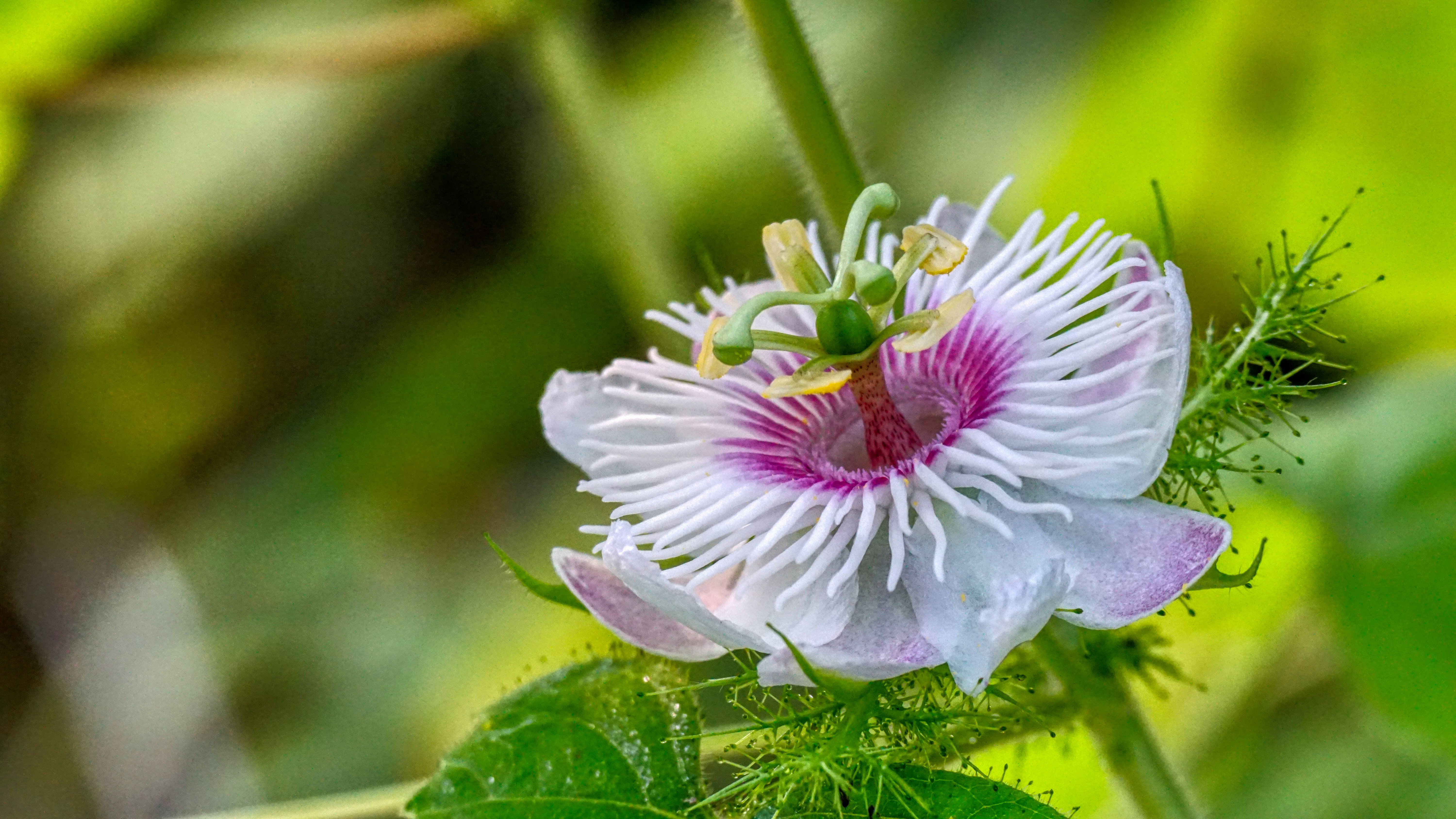 Photo by thomaskinto