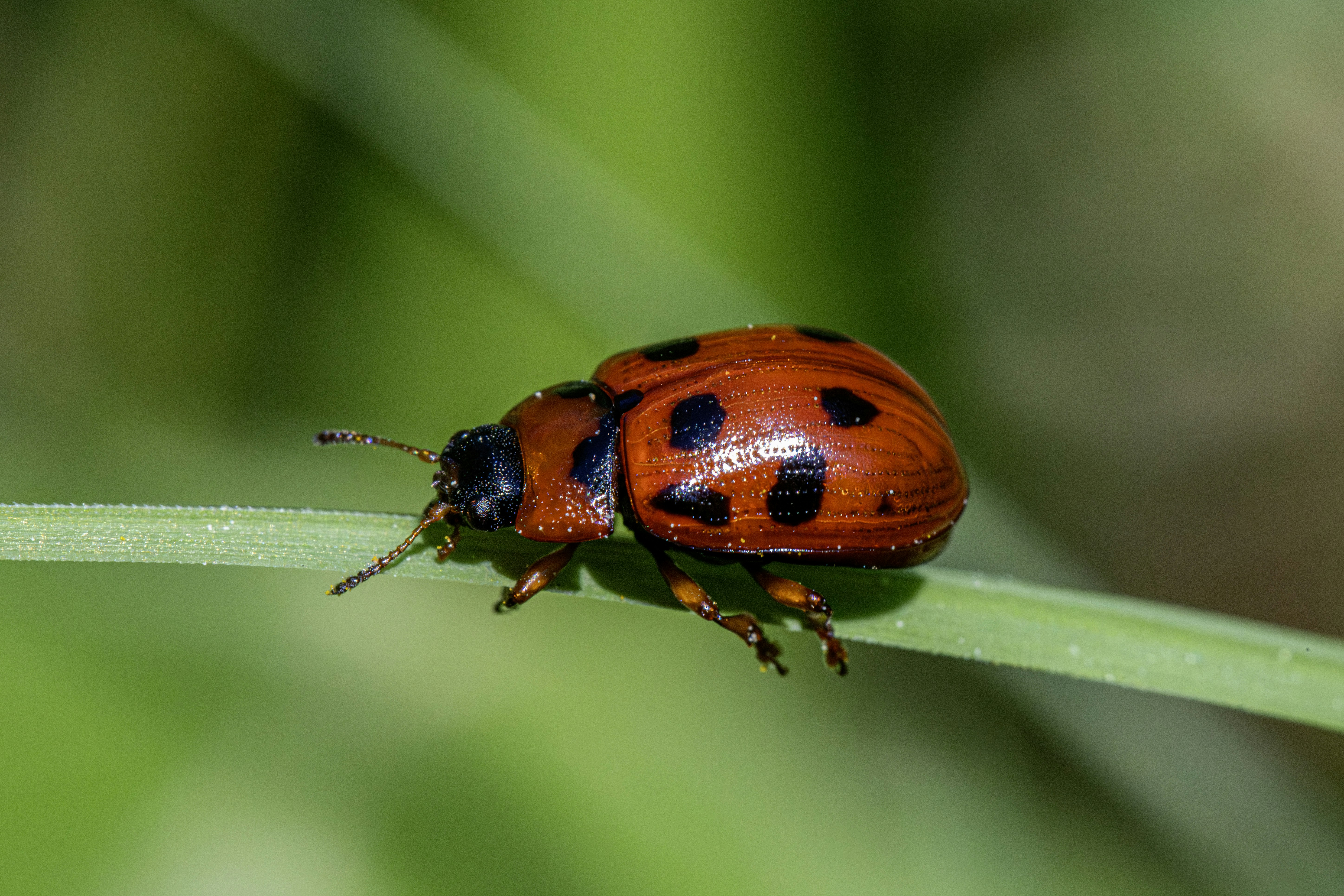 Photo by erik_karits