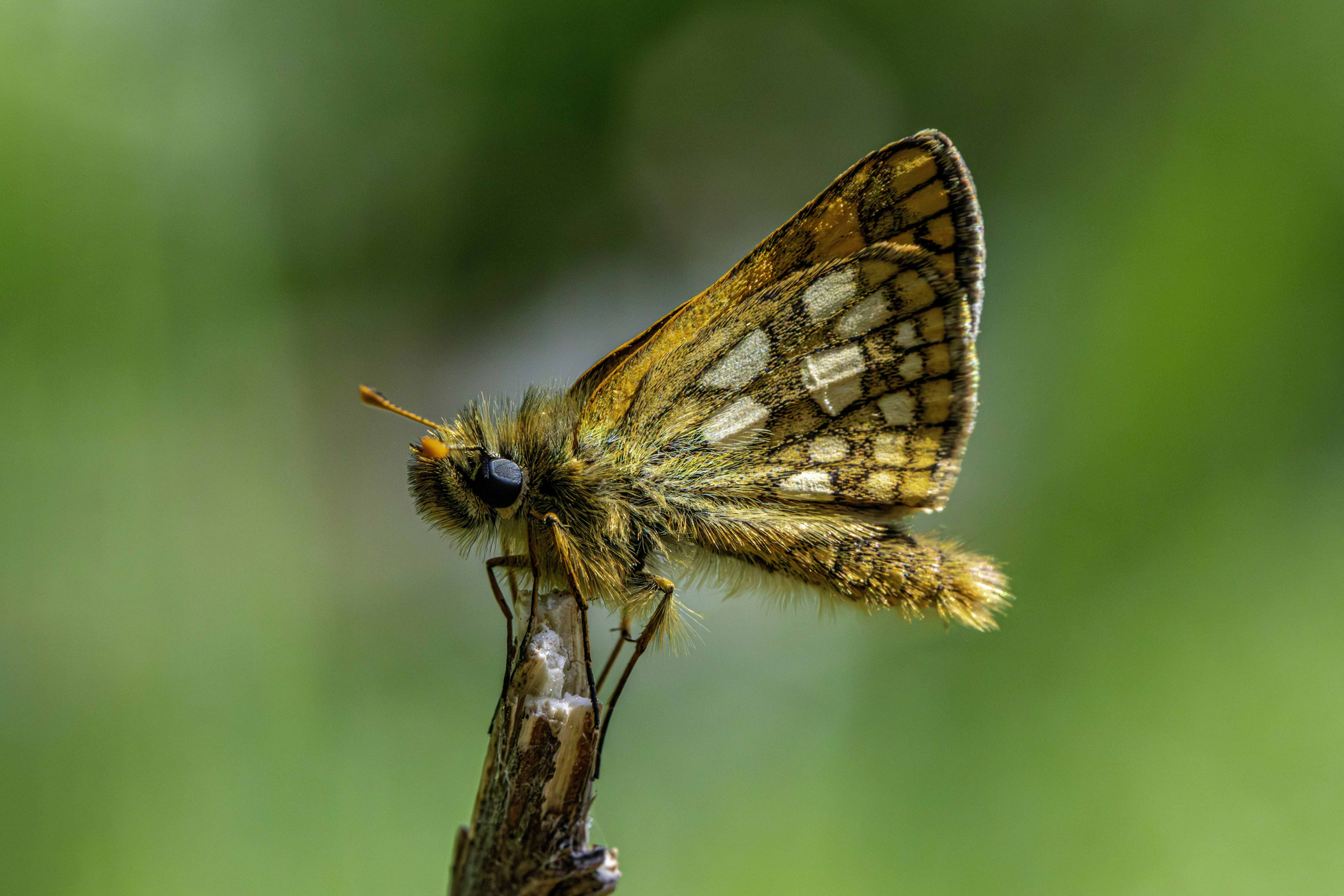 Photo by erik_karits