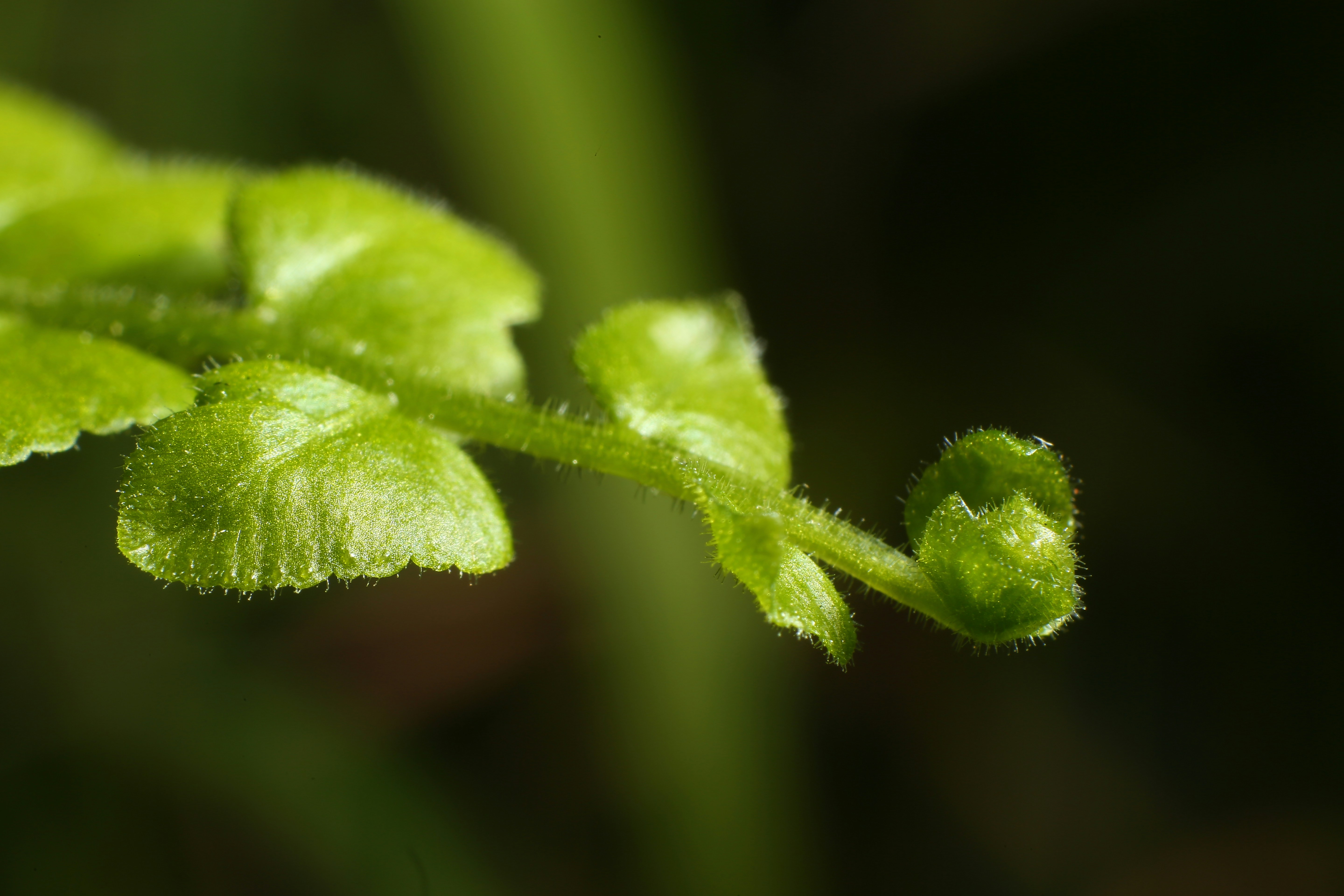 Photo by selipar_jepon