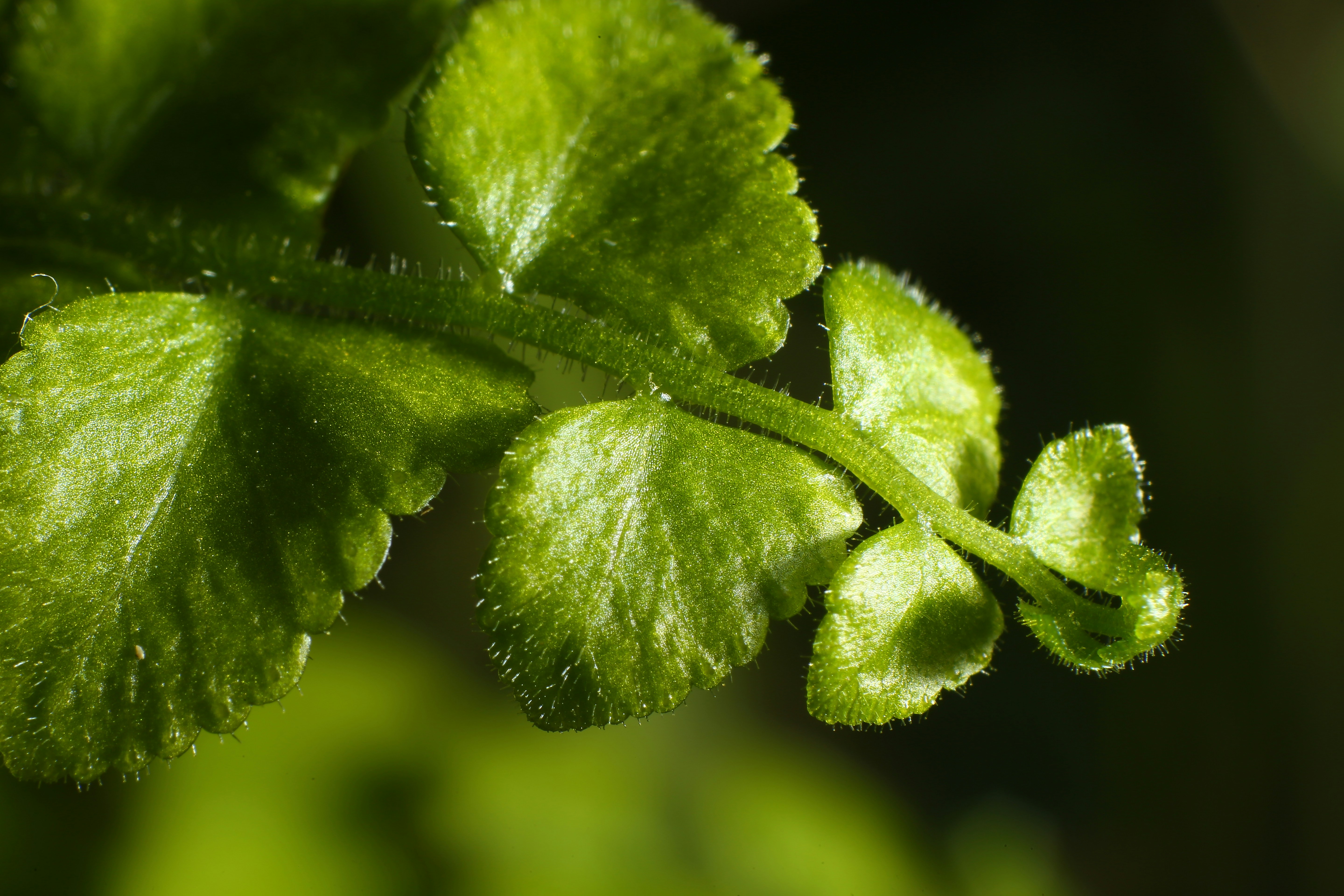 Photo by selipar_jepon