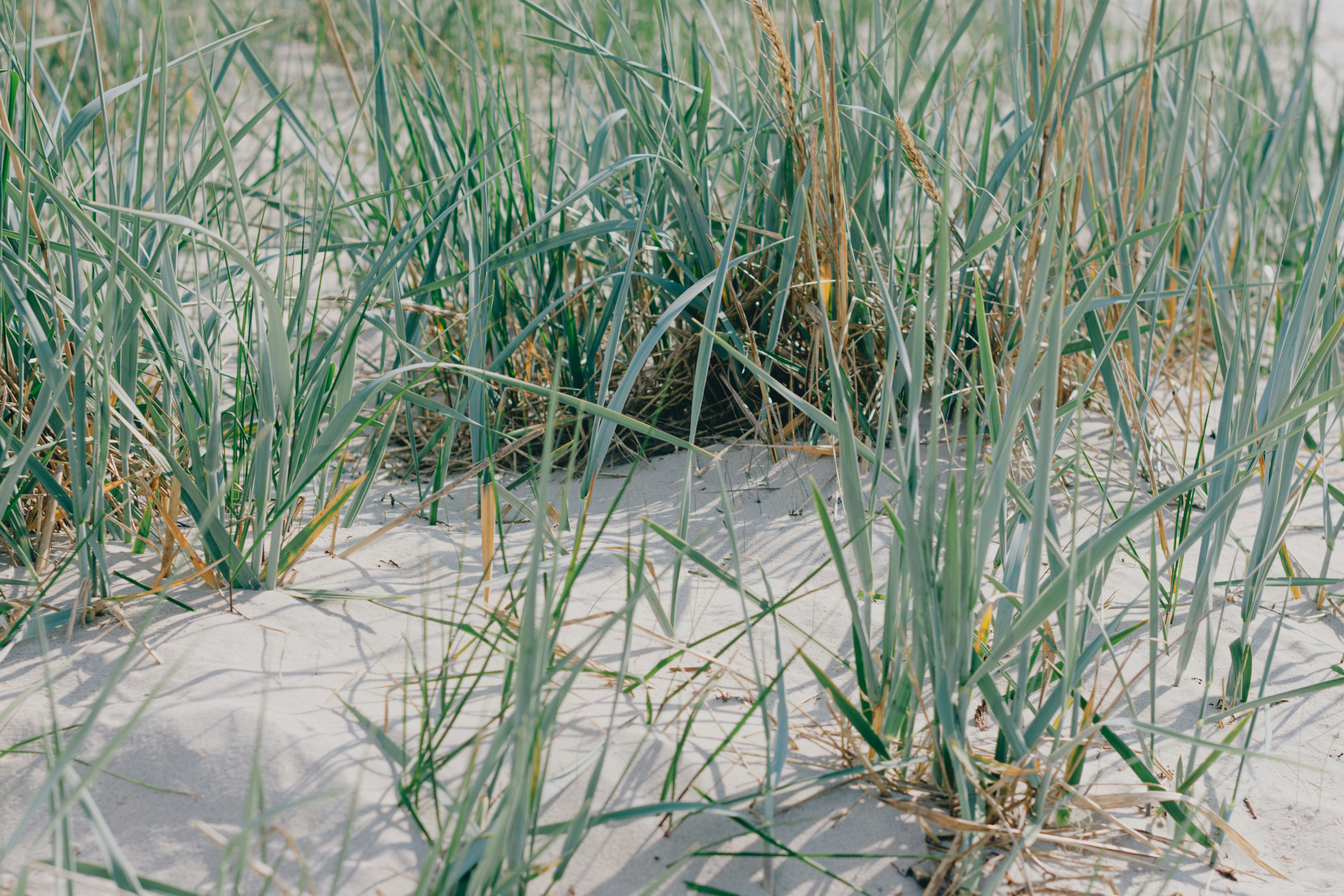 Photo by siimlukka