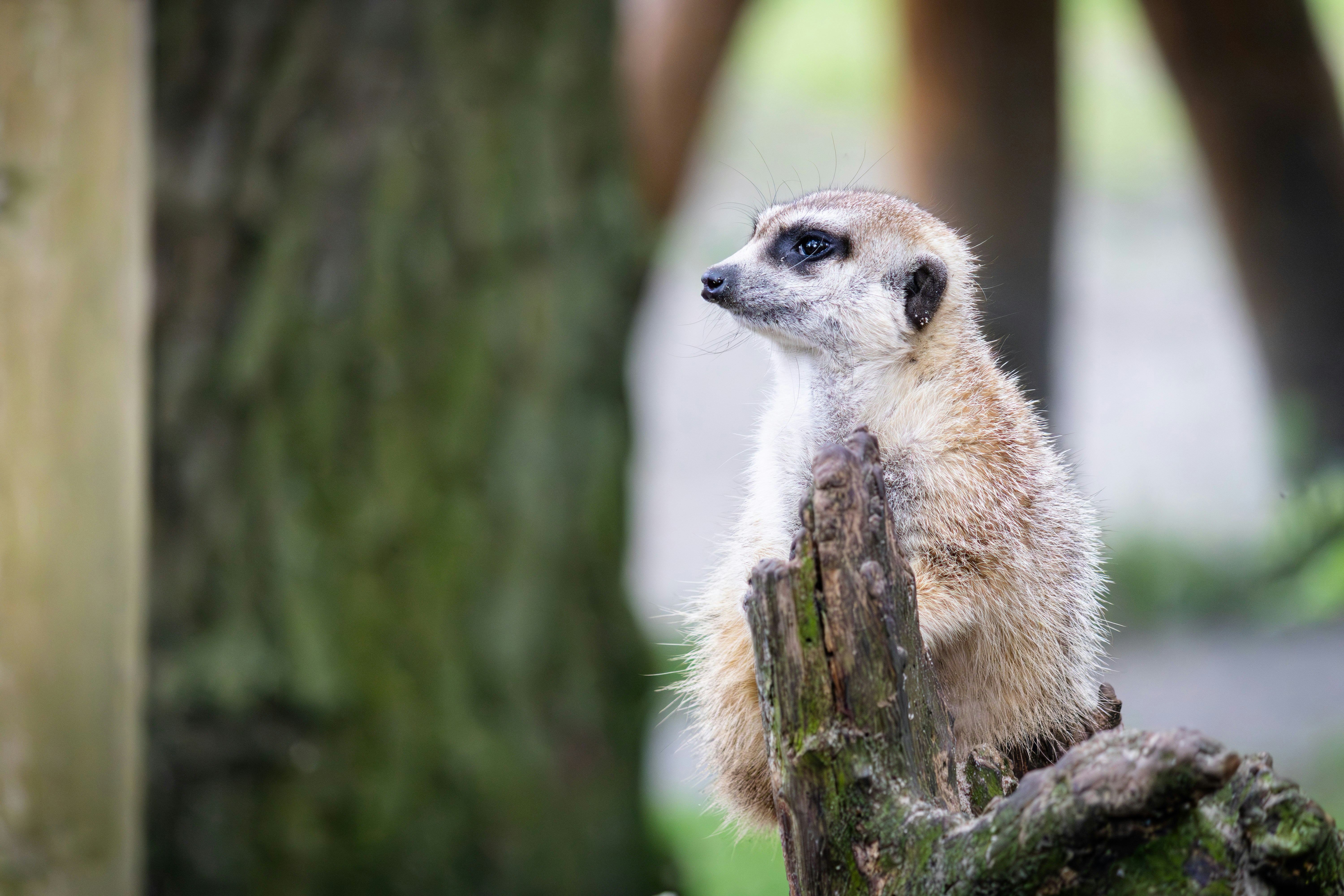 Photo by kennyvrphotography