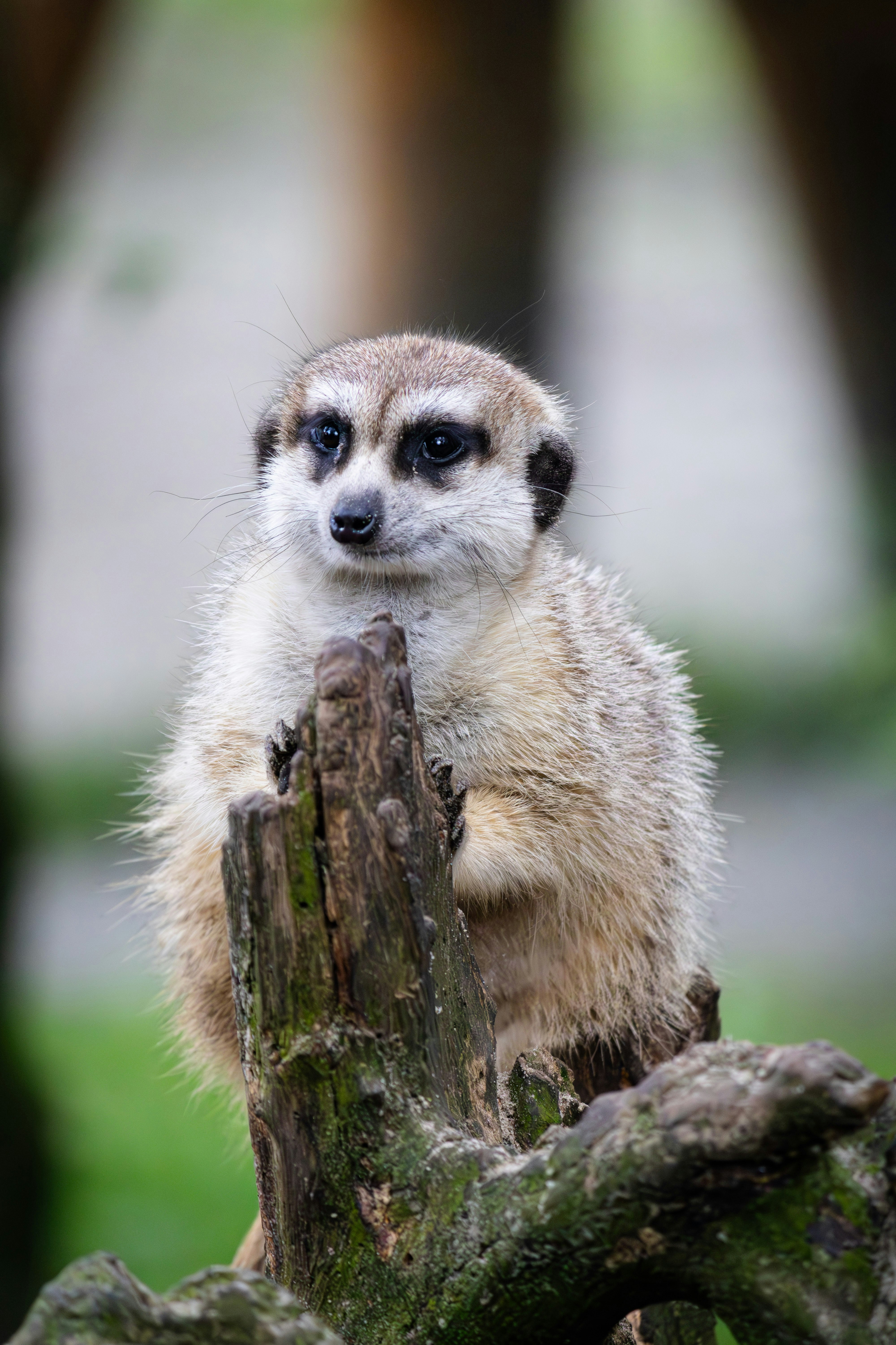 Photo by kennyvrphotography