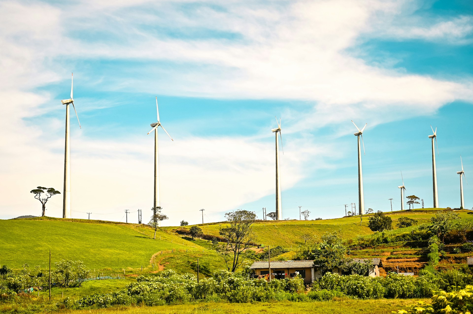 a green hillside with wind turbines in the background