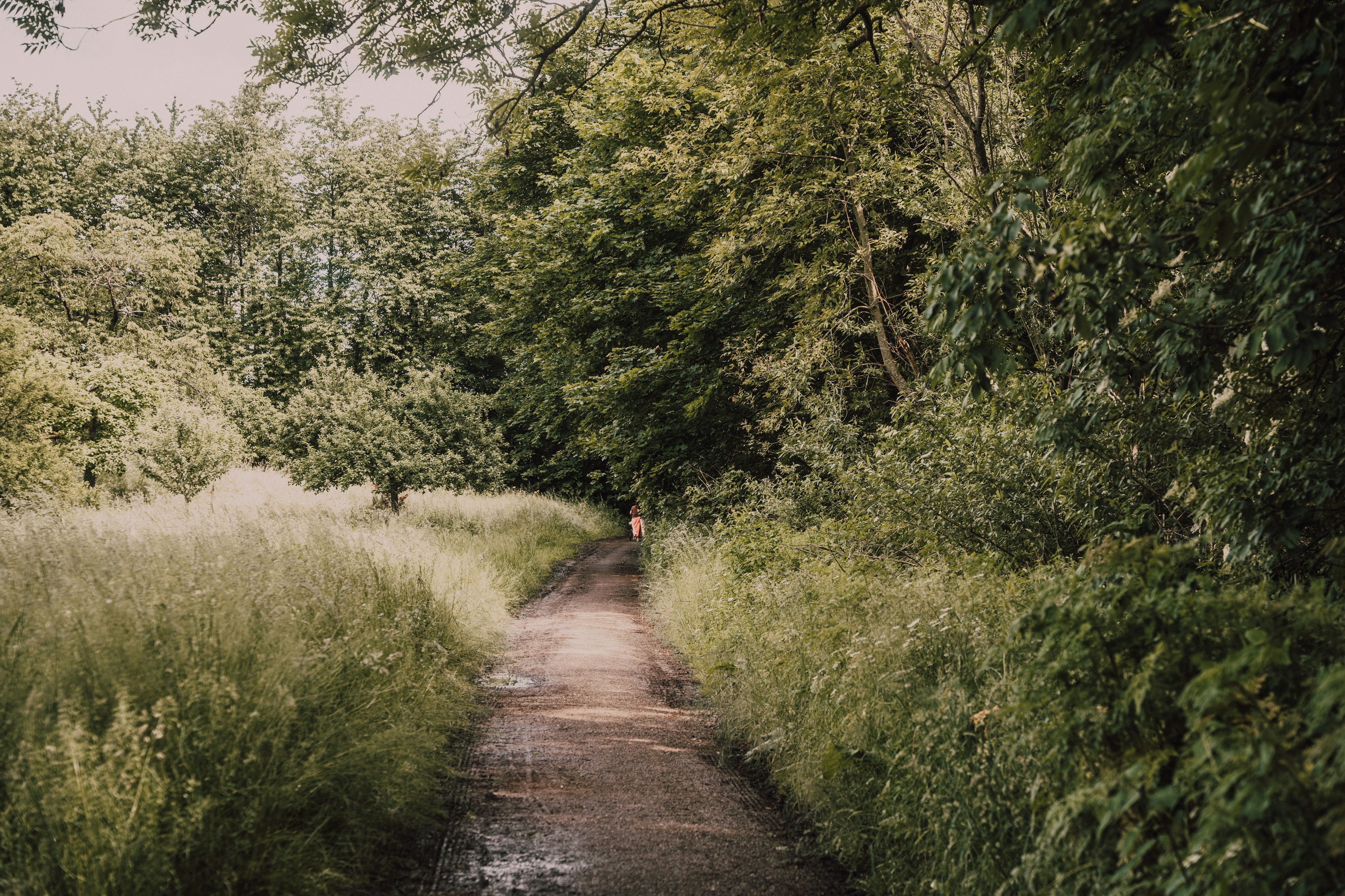 Photo by masoodaslami