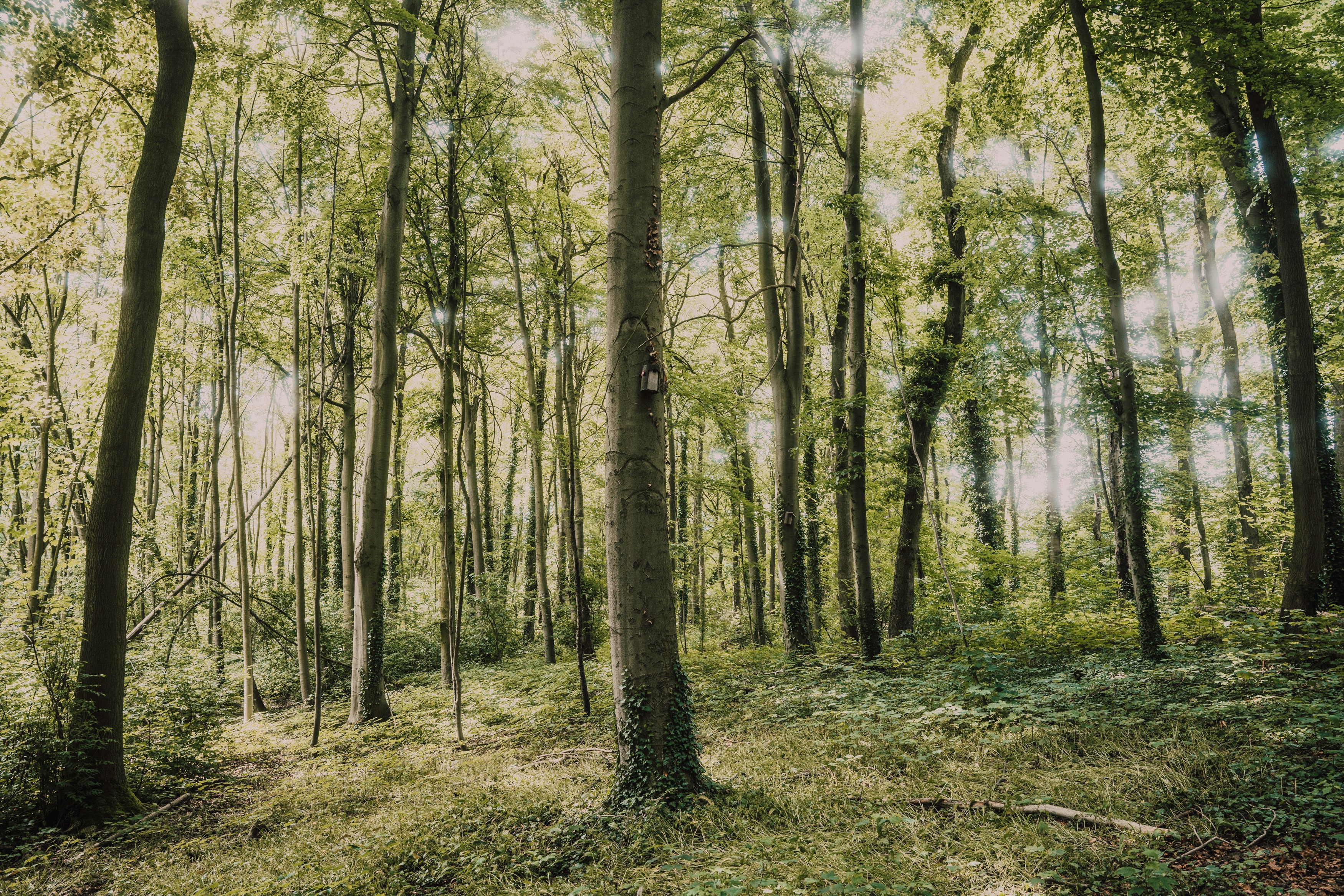 Photo by masoodaslami