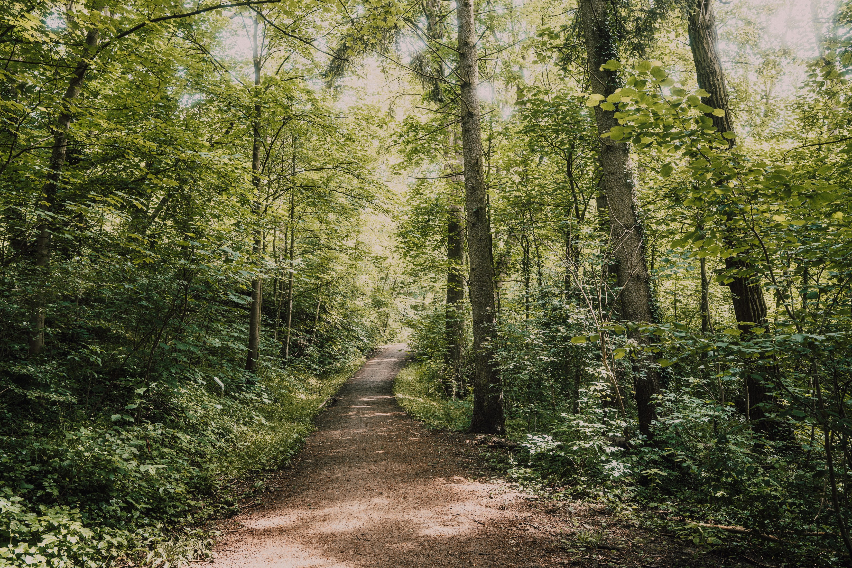 Photo by masoodaslami