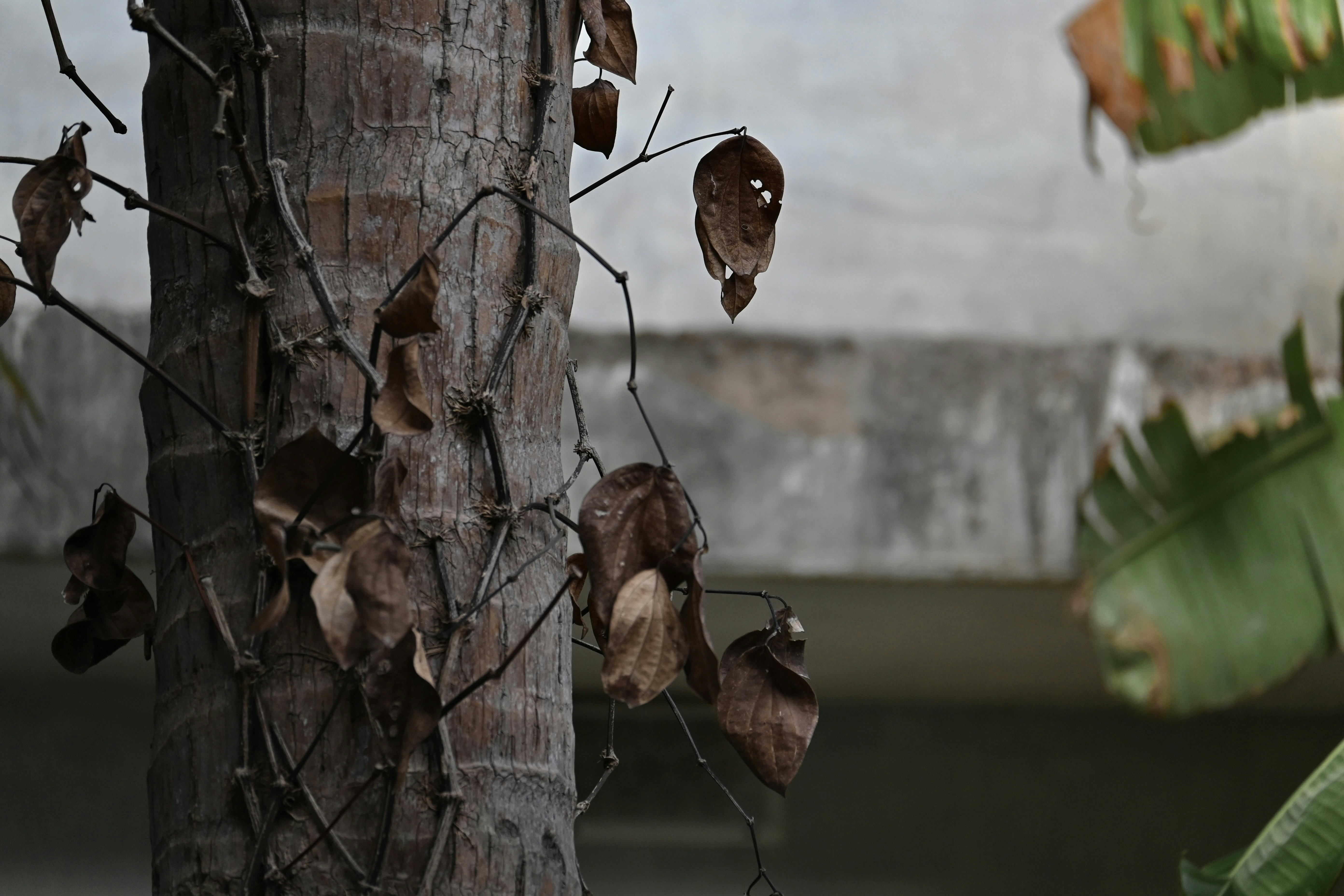 Photo by praswinprakashan