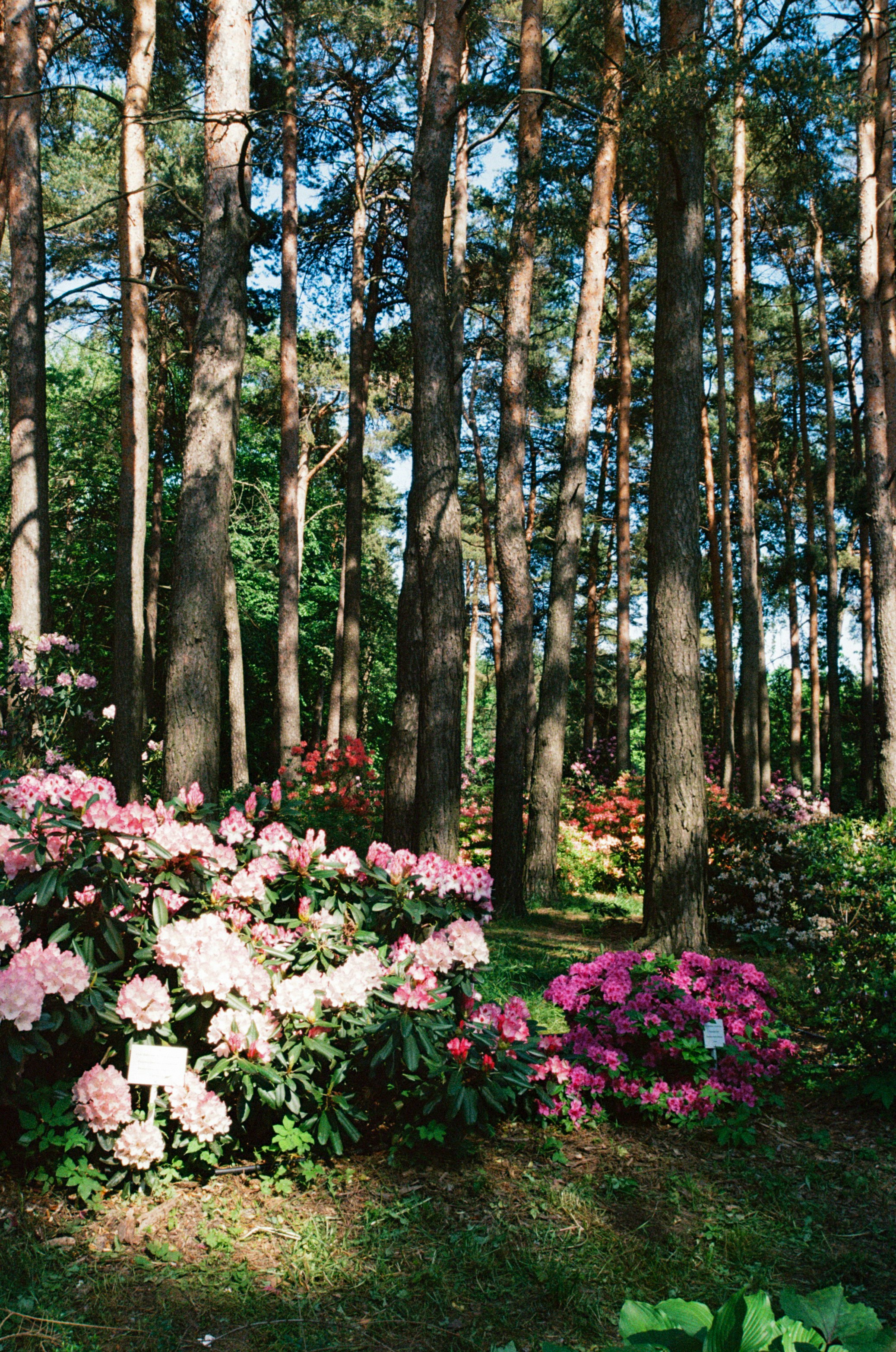 Photo by valeria_klys