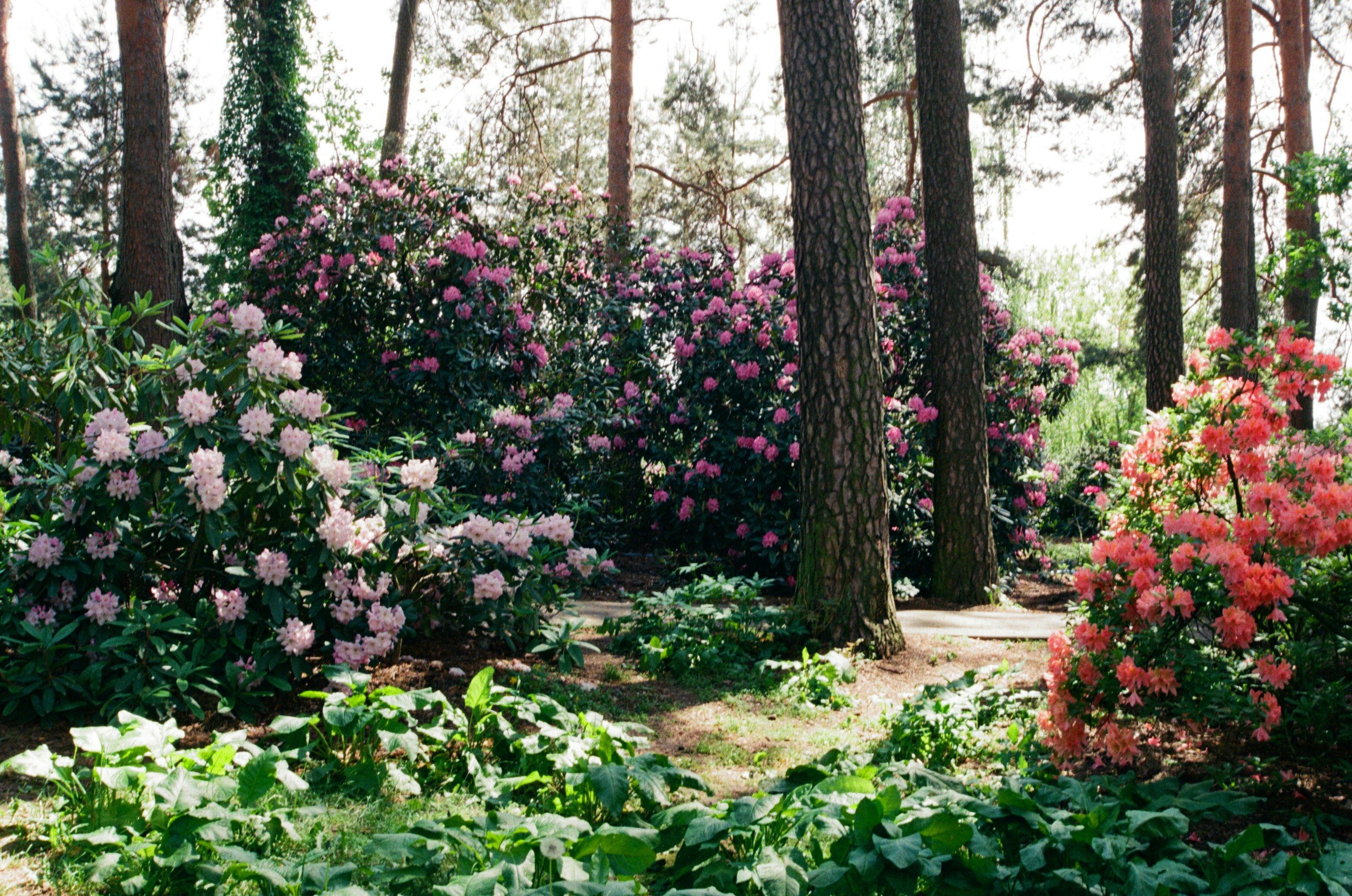 Photo by valeria_klys