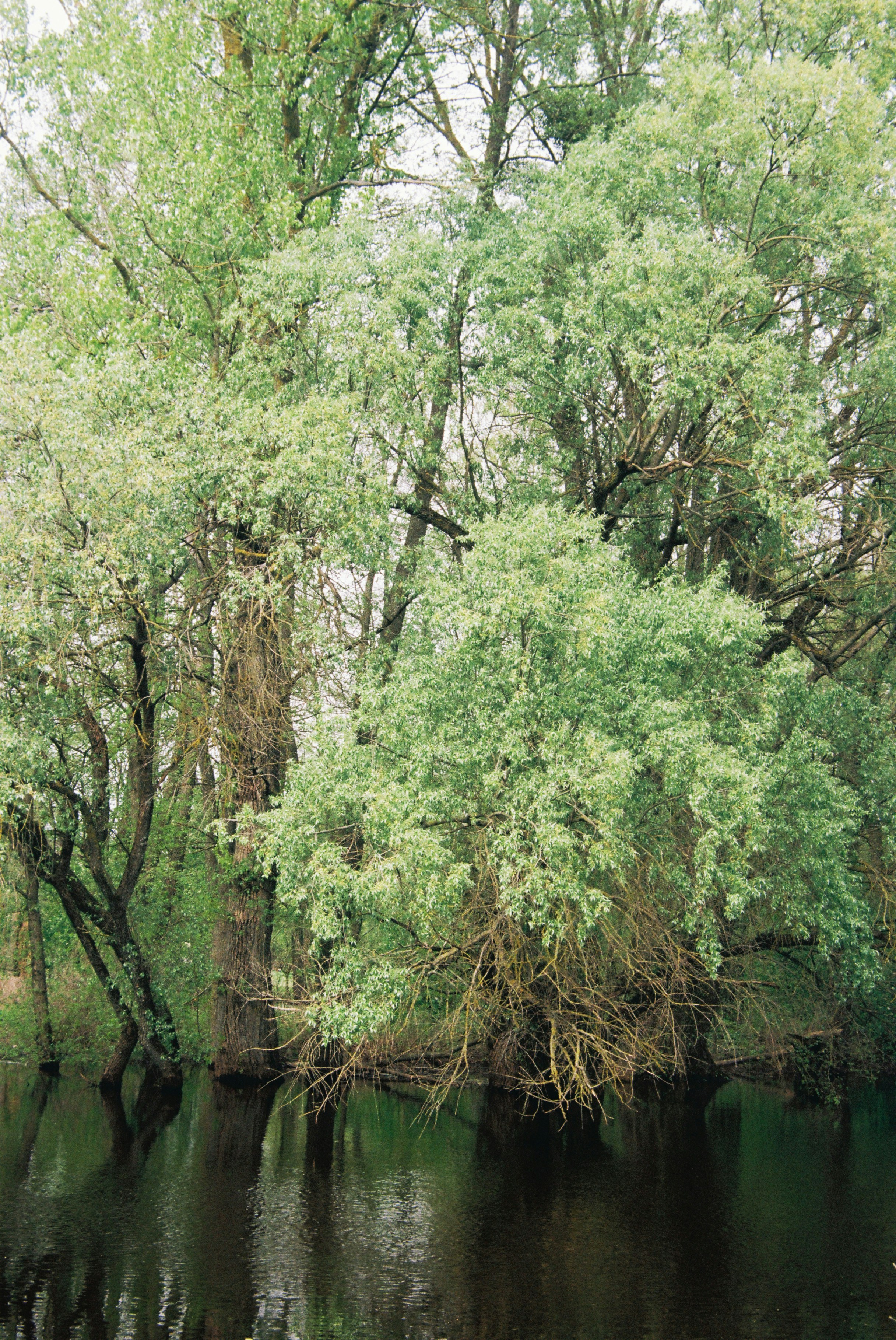 Photo by valeria_klys