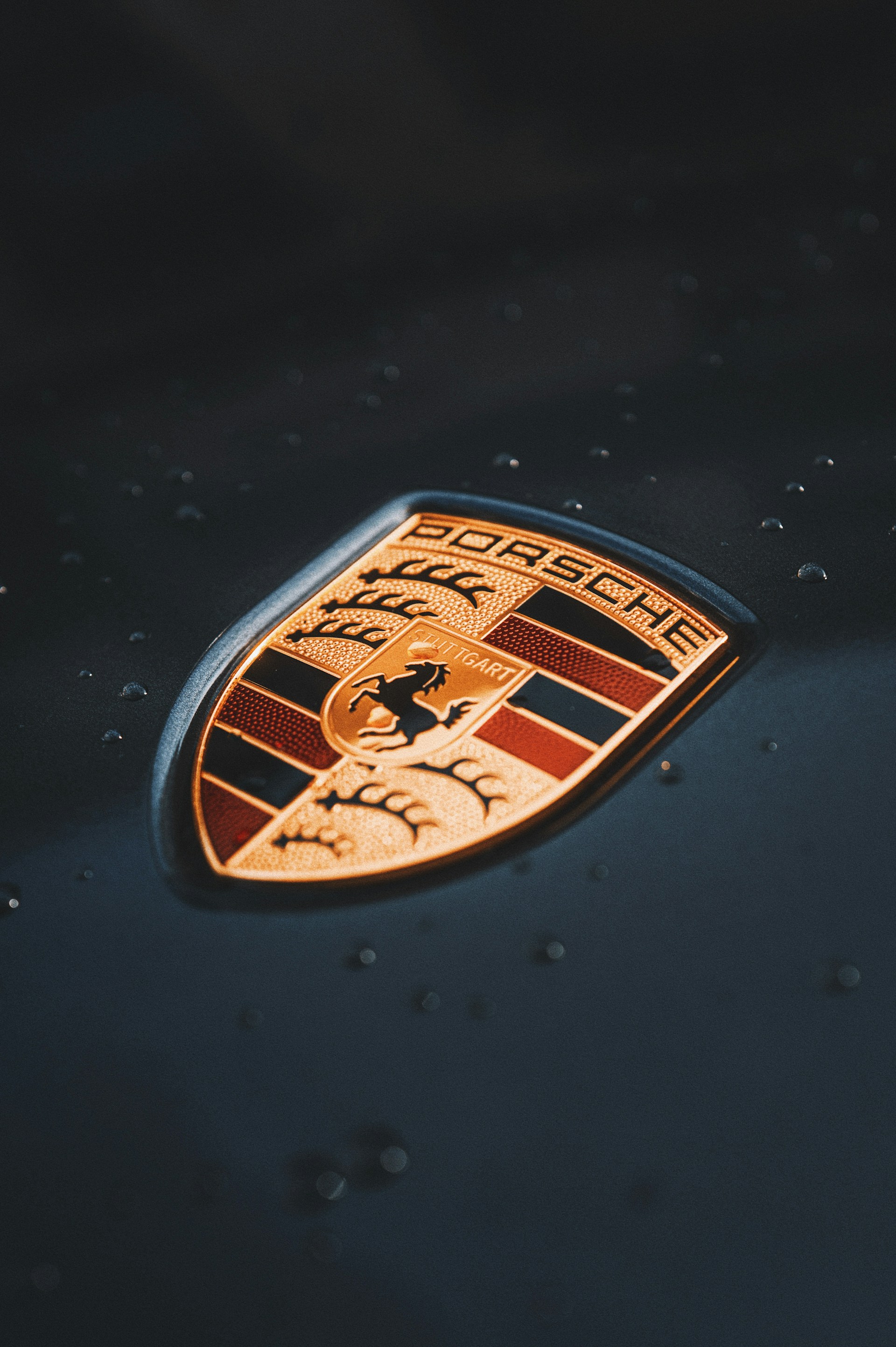 a close up of a porsche emblem on a car