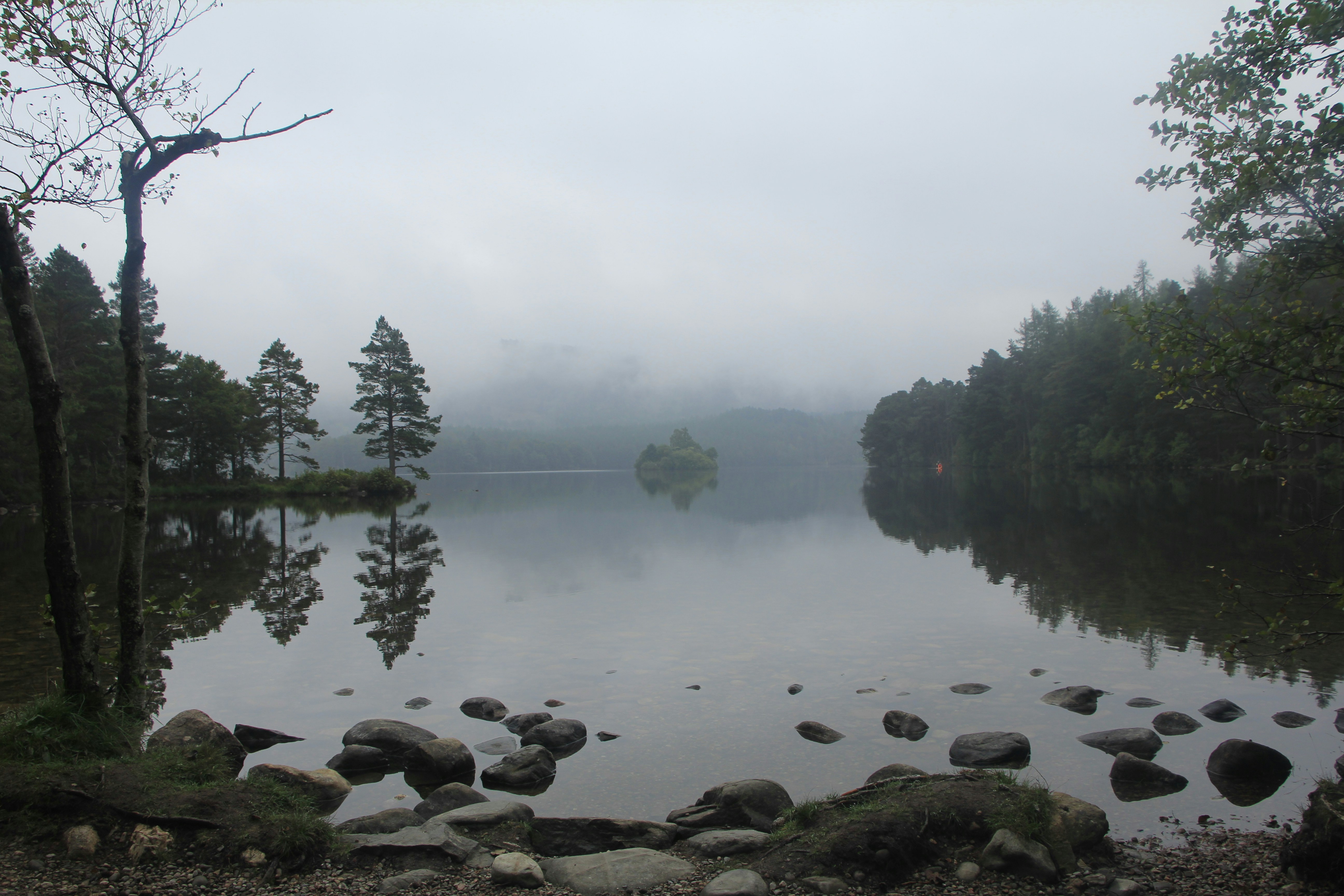 a body of water surrounded by trees and rocks