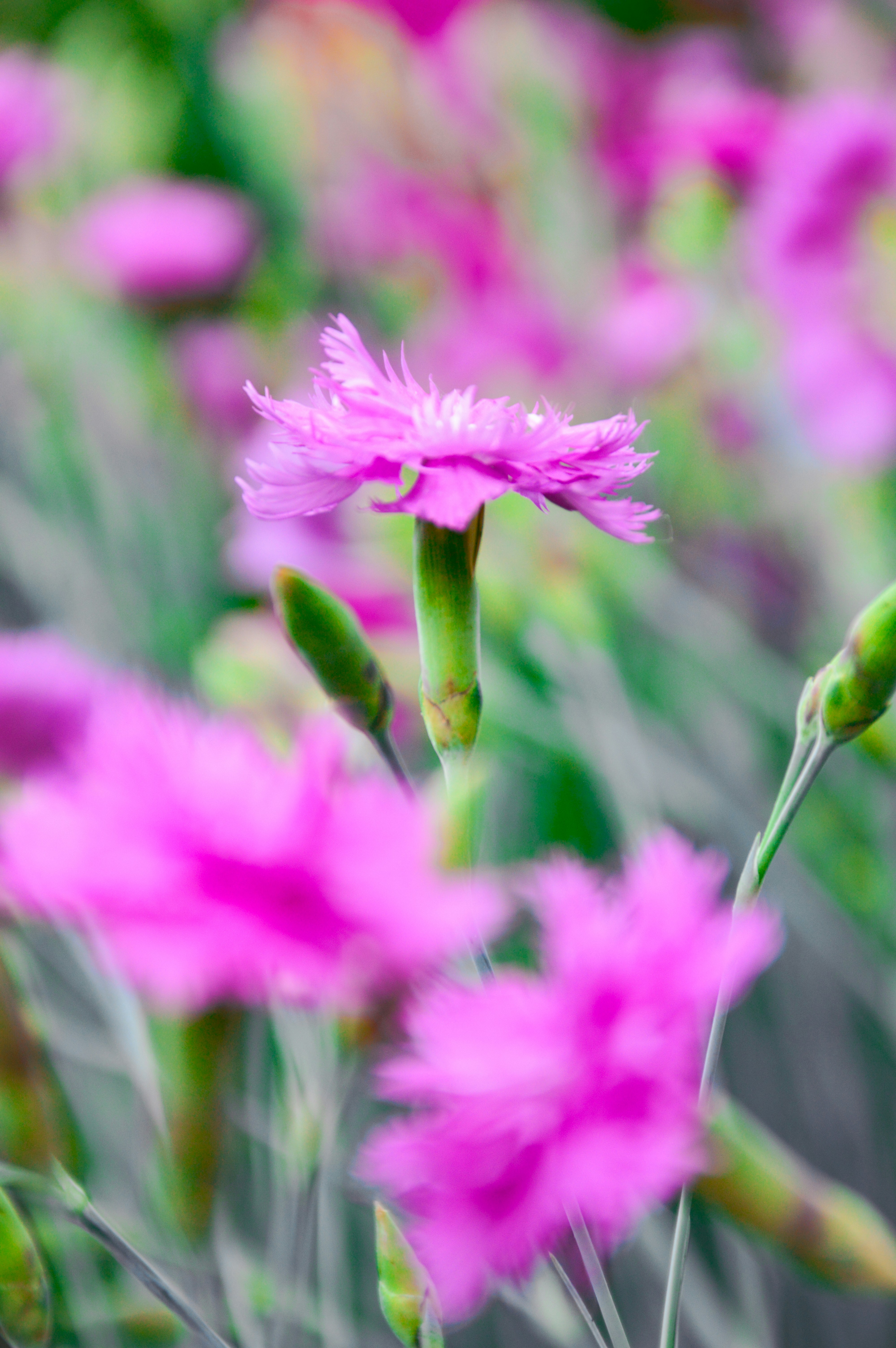 Photo by ibreathart