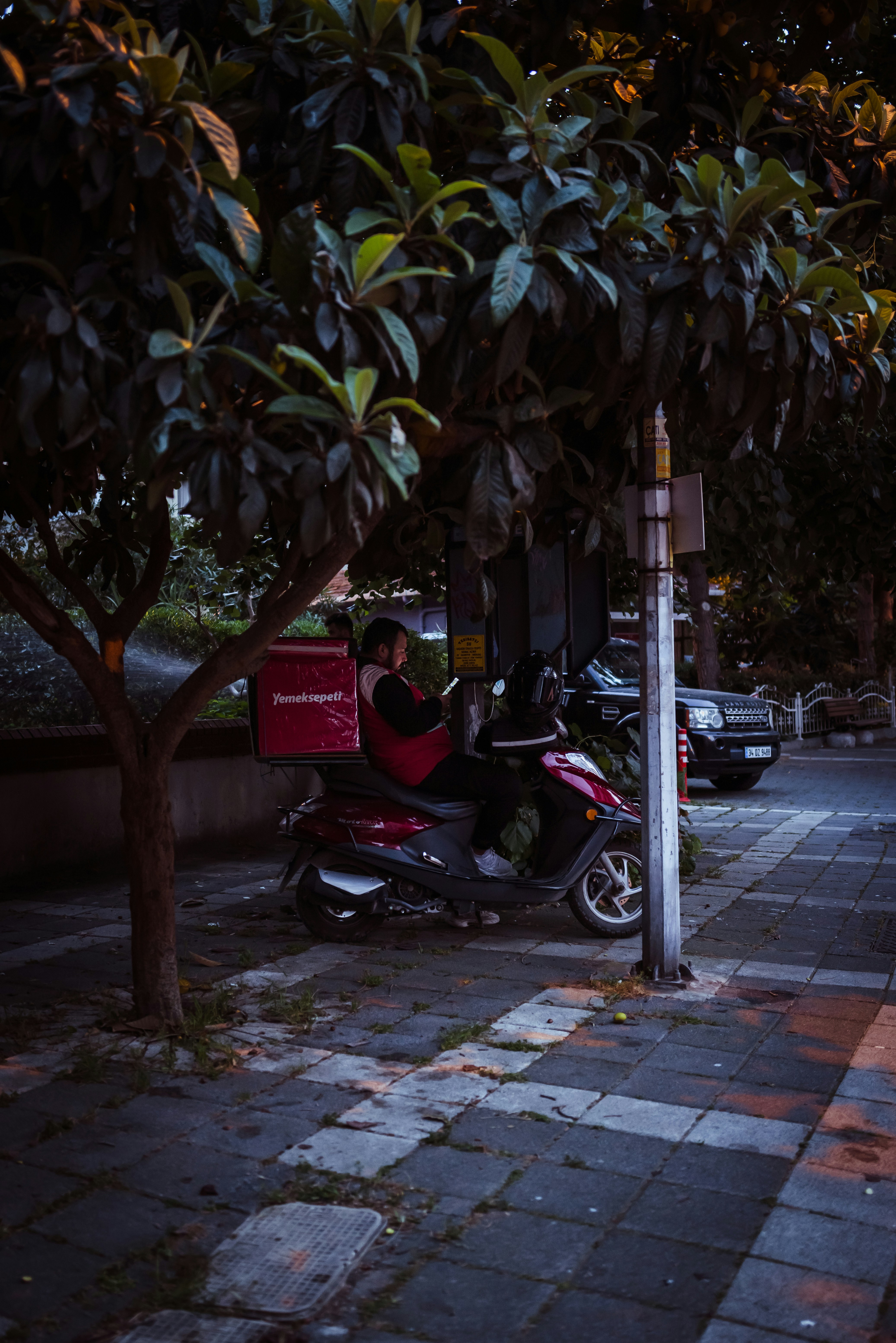 a person sitting on a scooter next to a tree