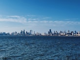 a large body of water with a city in the background