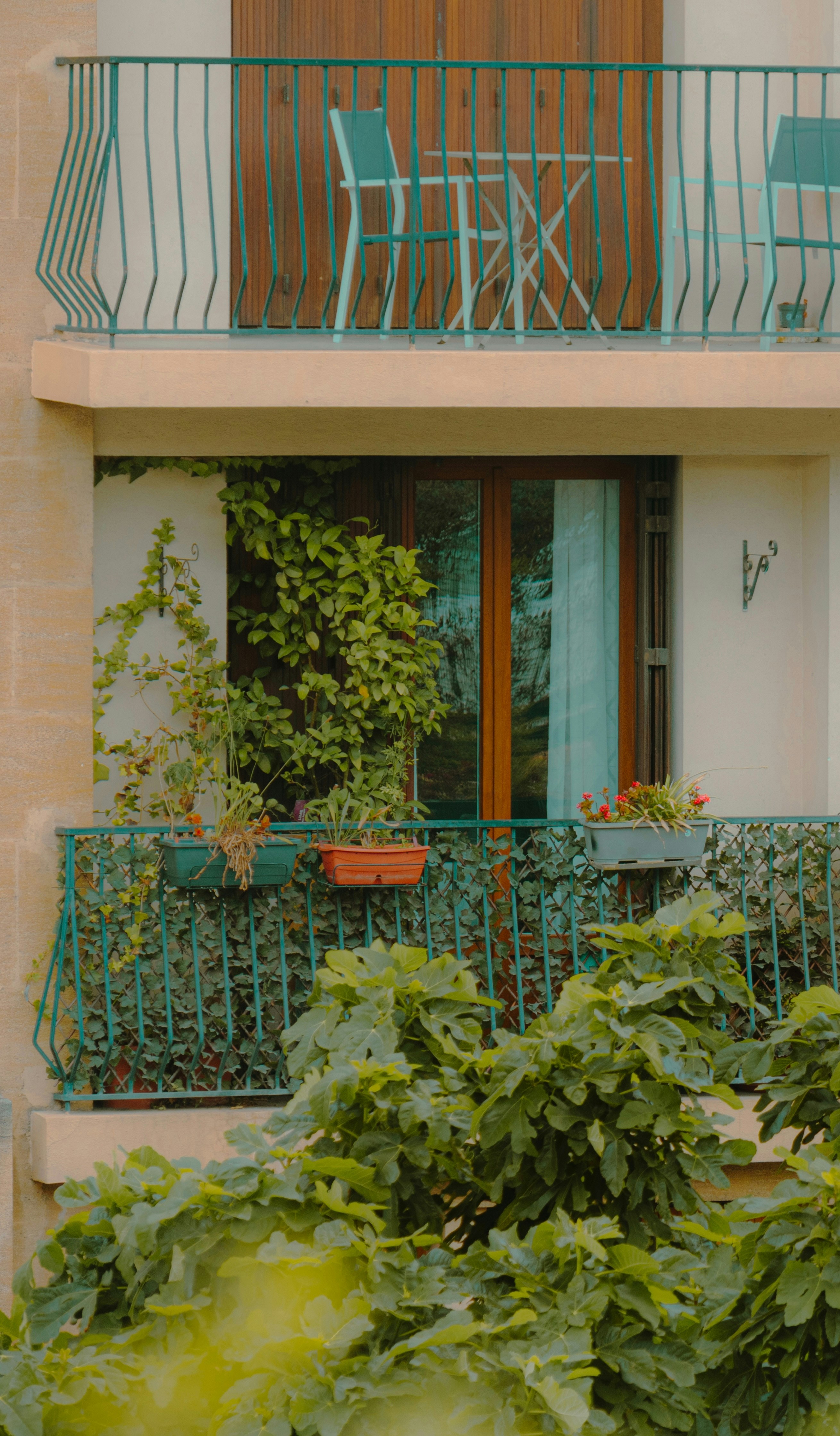 Photo by abdelkader1001