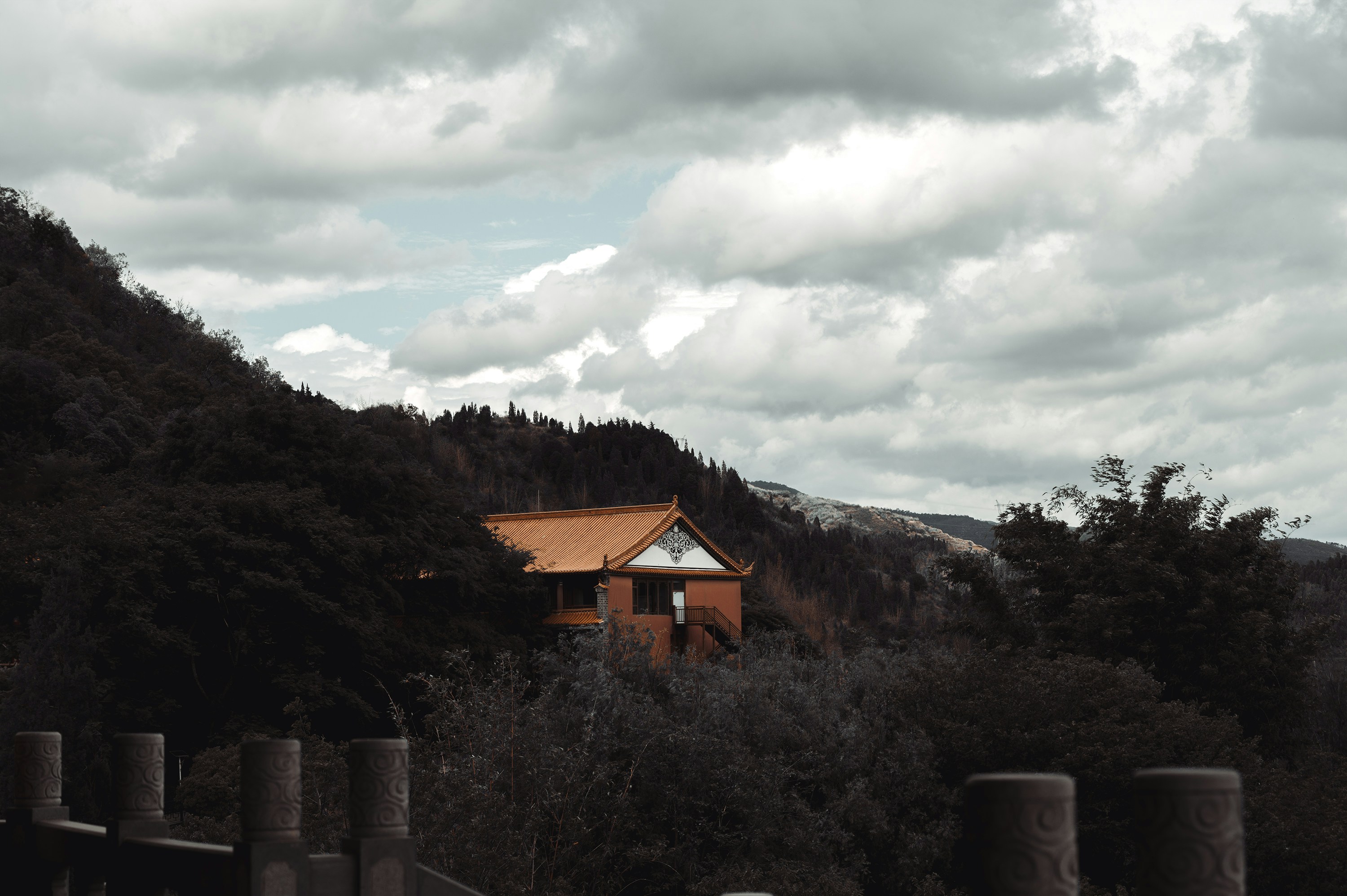 Photo by vincent_tint