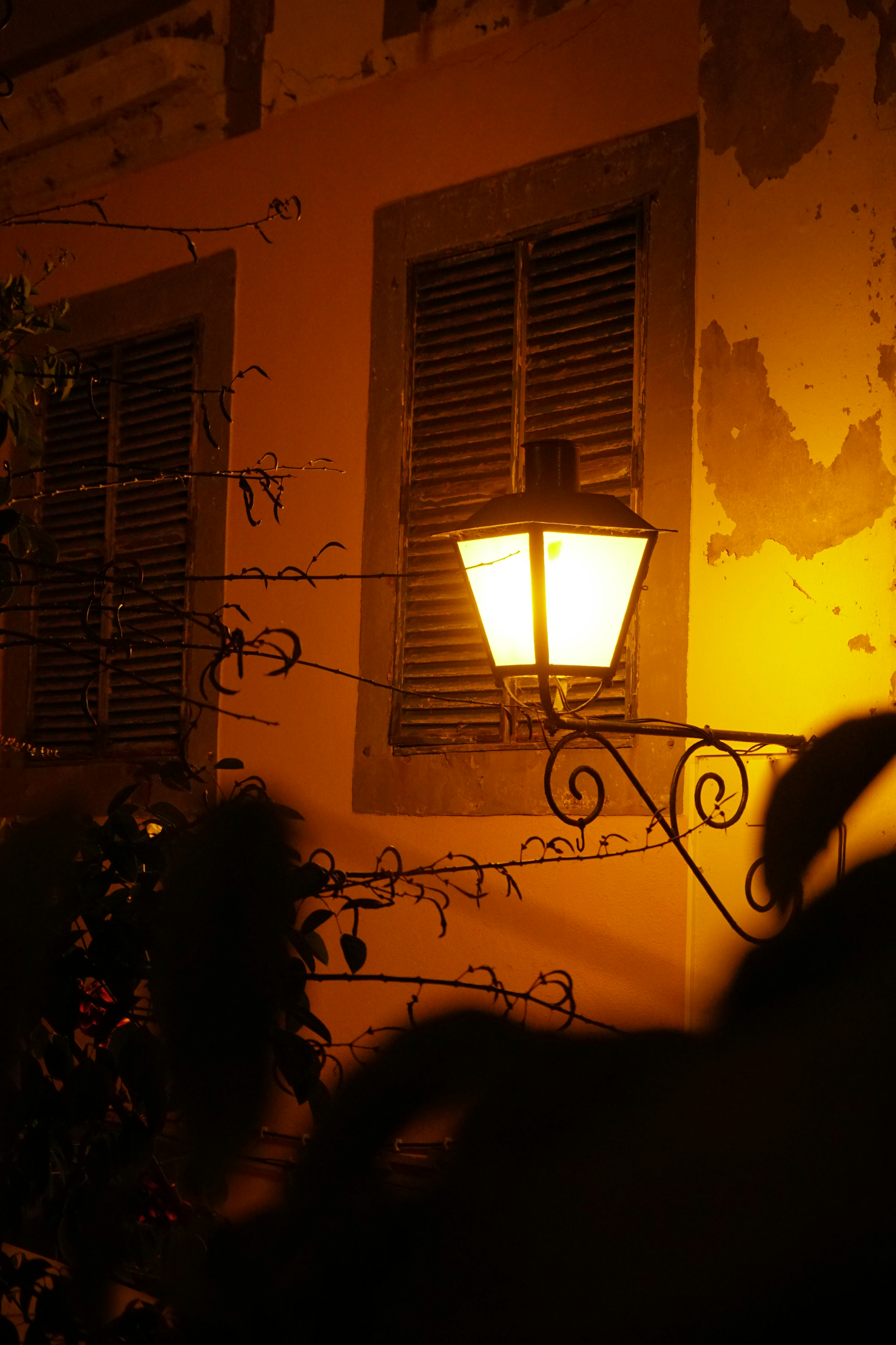 Photo by renatebolligerphotographie