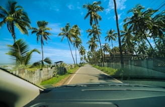 a car driving down a road surrounded by palm trees