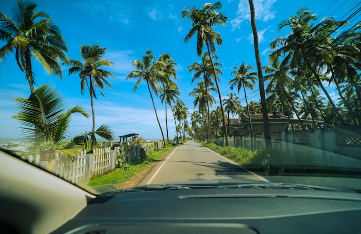 a car driving down a road surrounded by palm trees