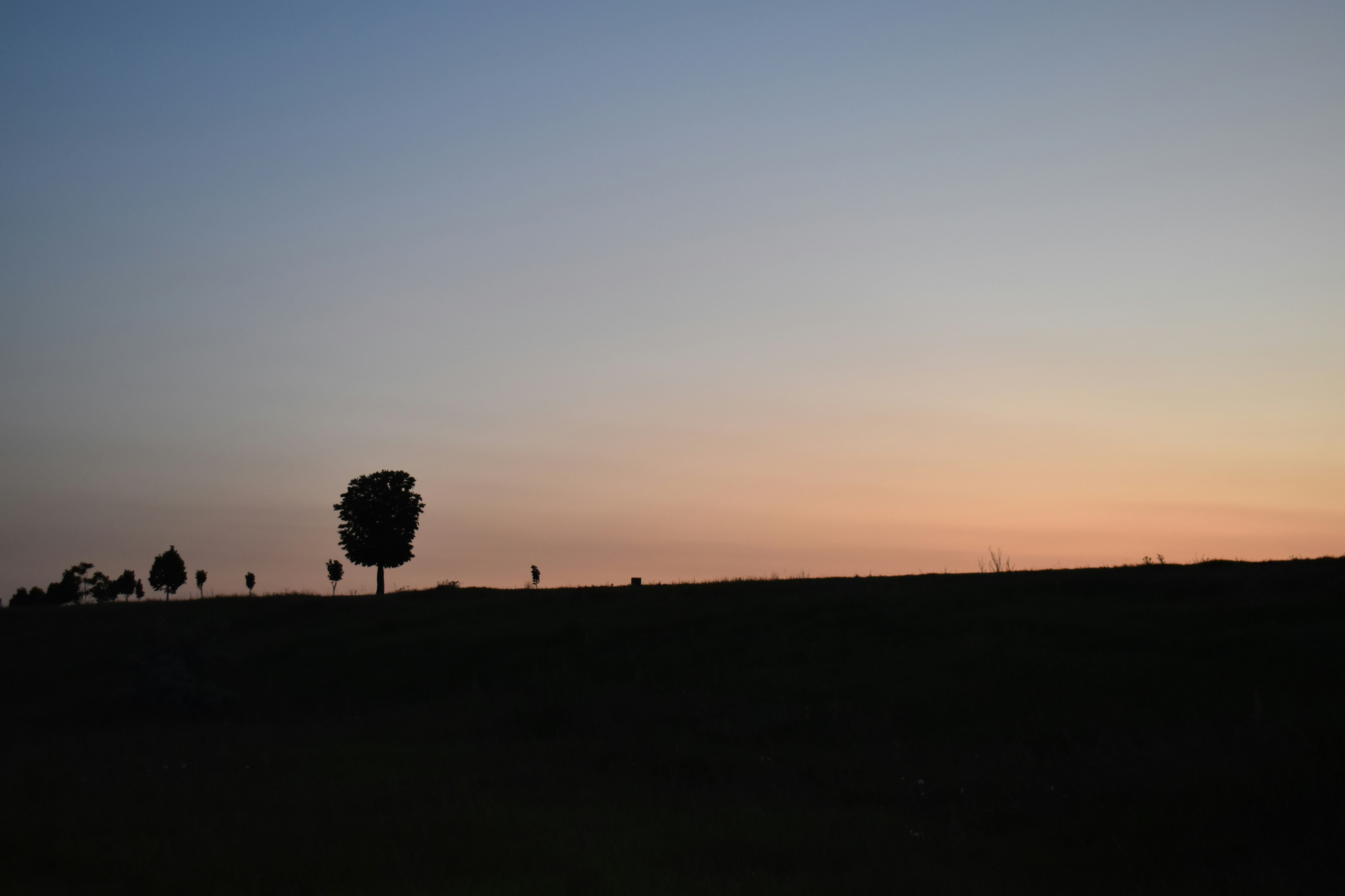 Photo by annnnnnnna8