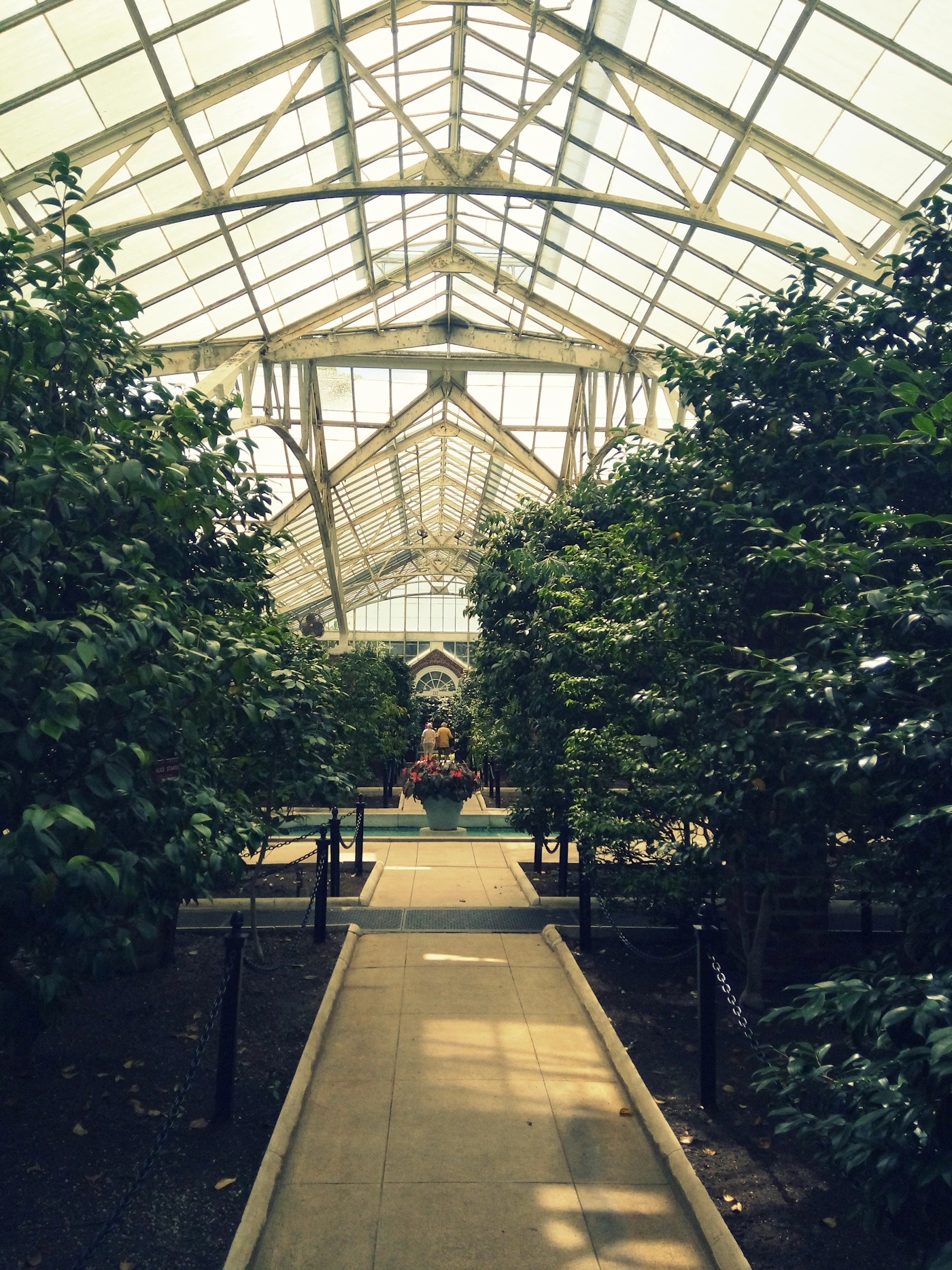 Inside the main greenhouse at Planting Fields