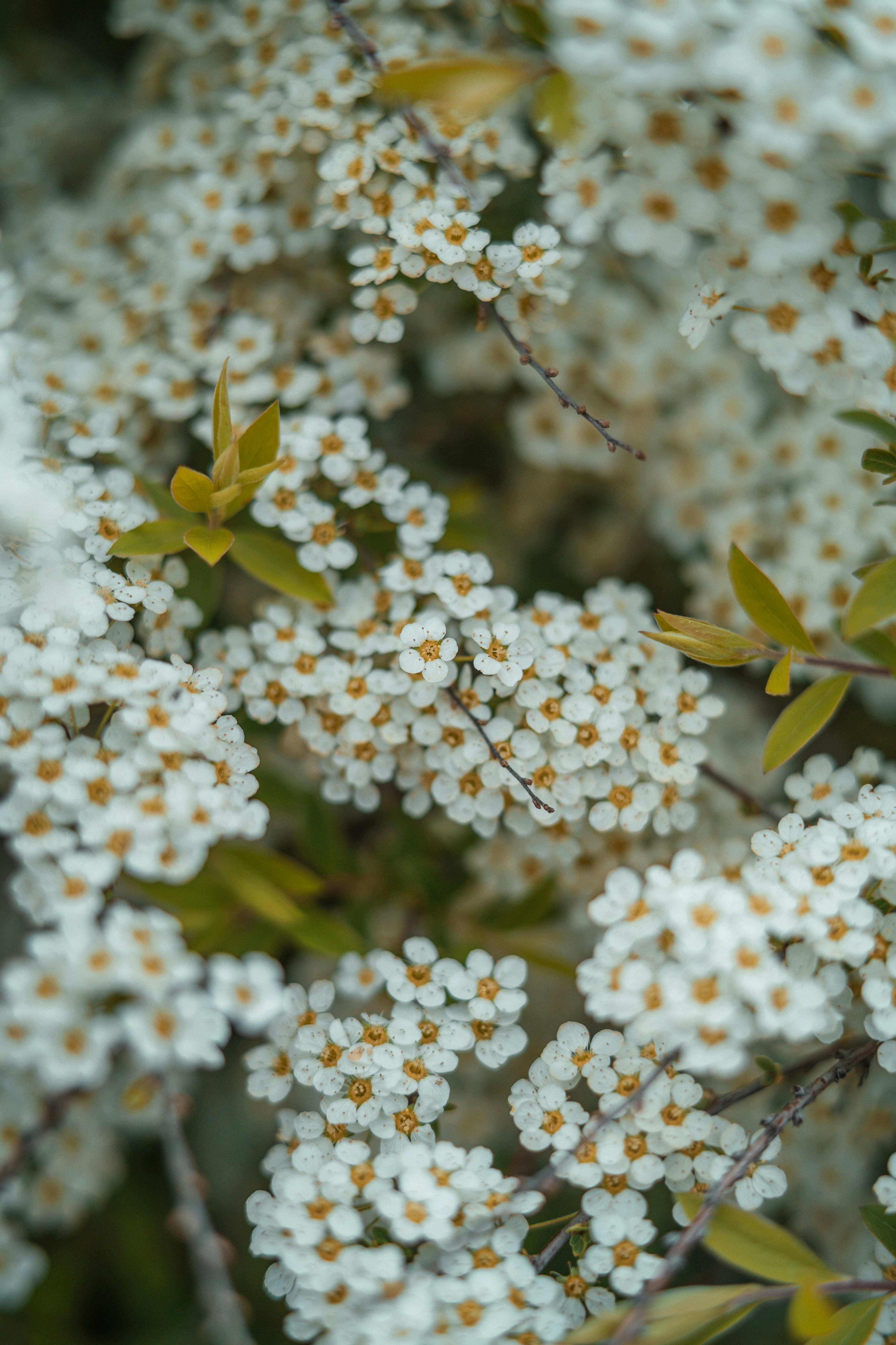 Photo by anamnesis33