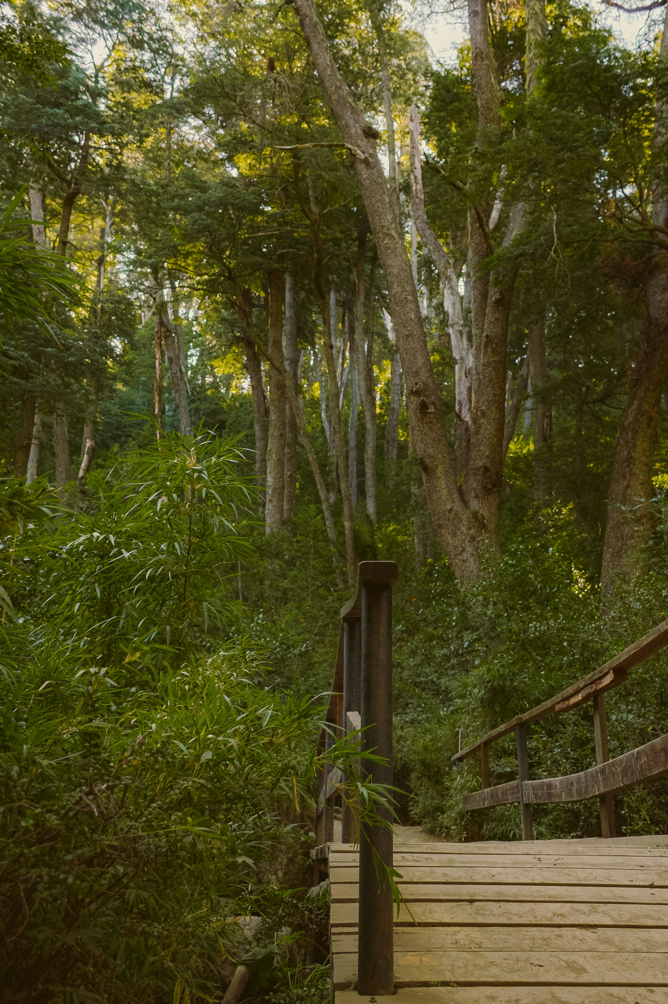 Photo by az_damariss