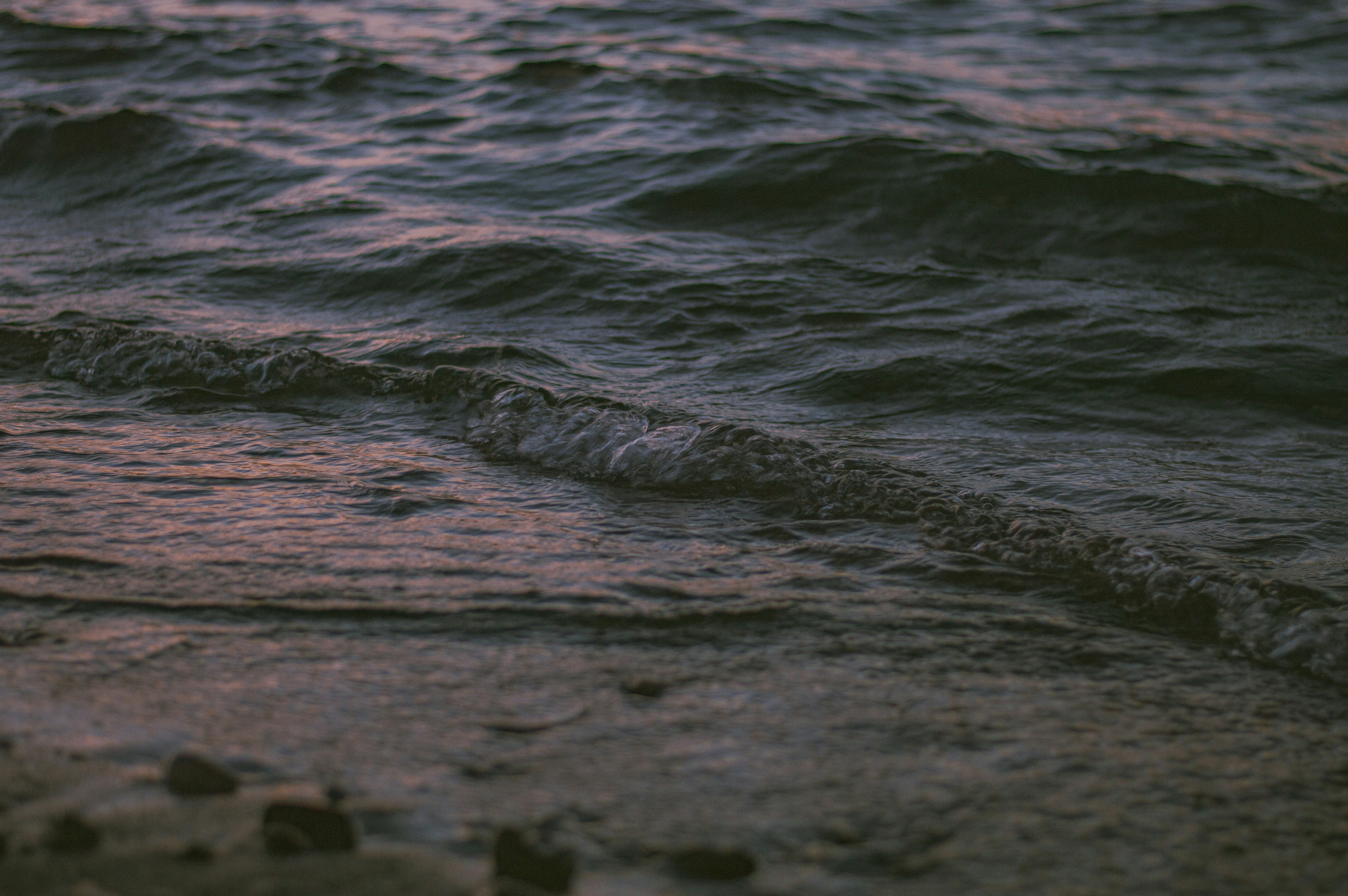 Photo by az_damariss