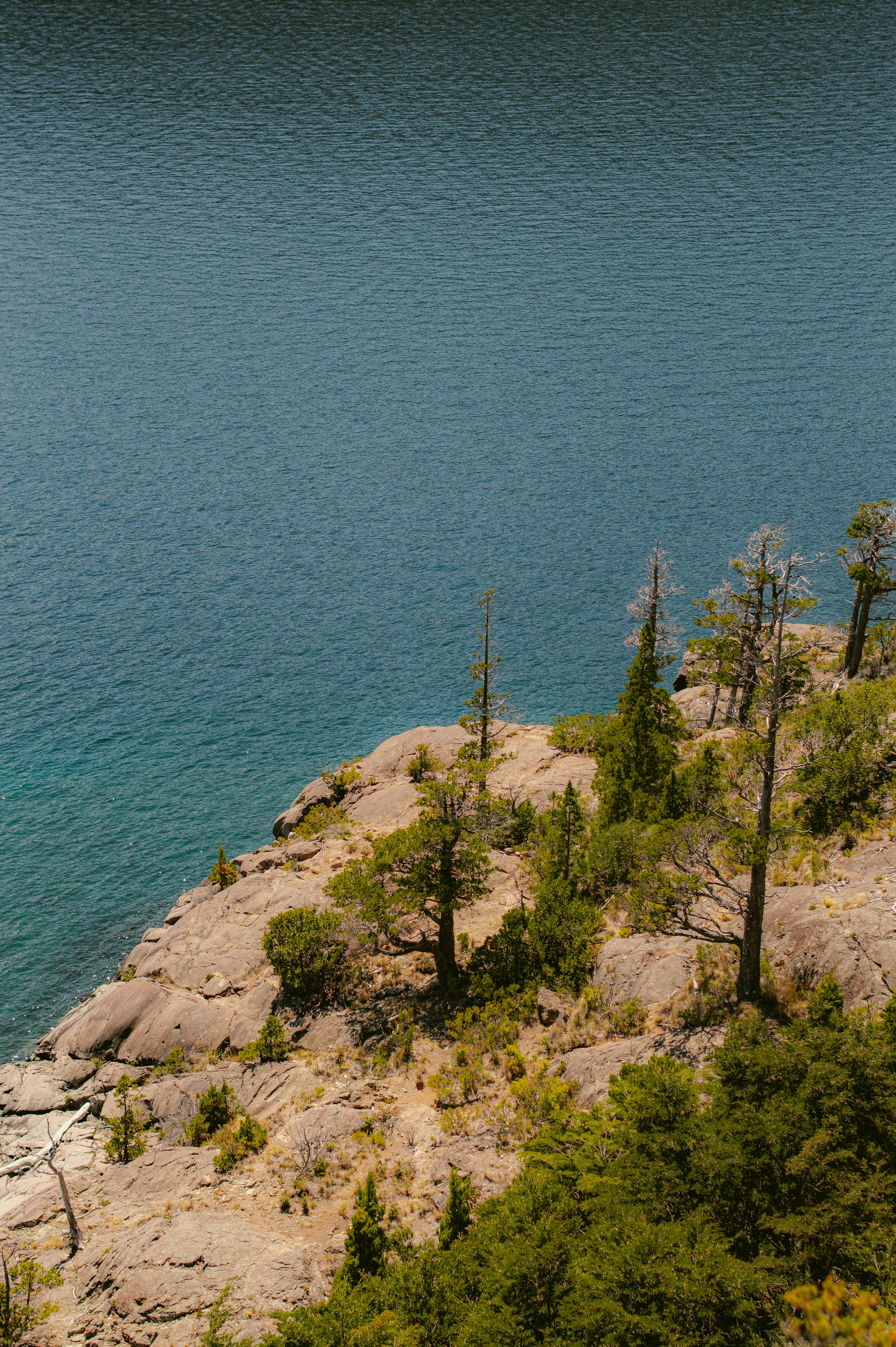 Photo by az_damariss