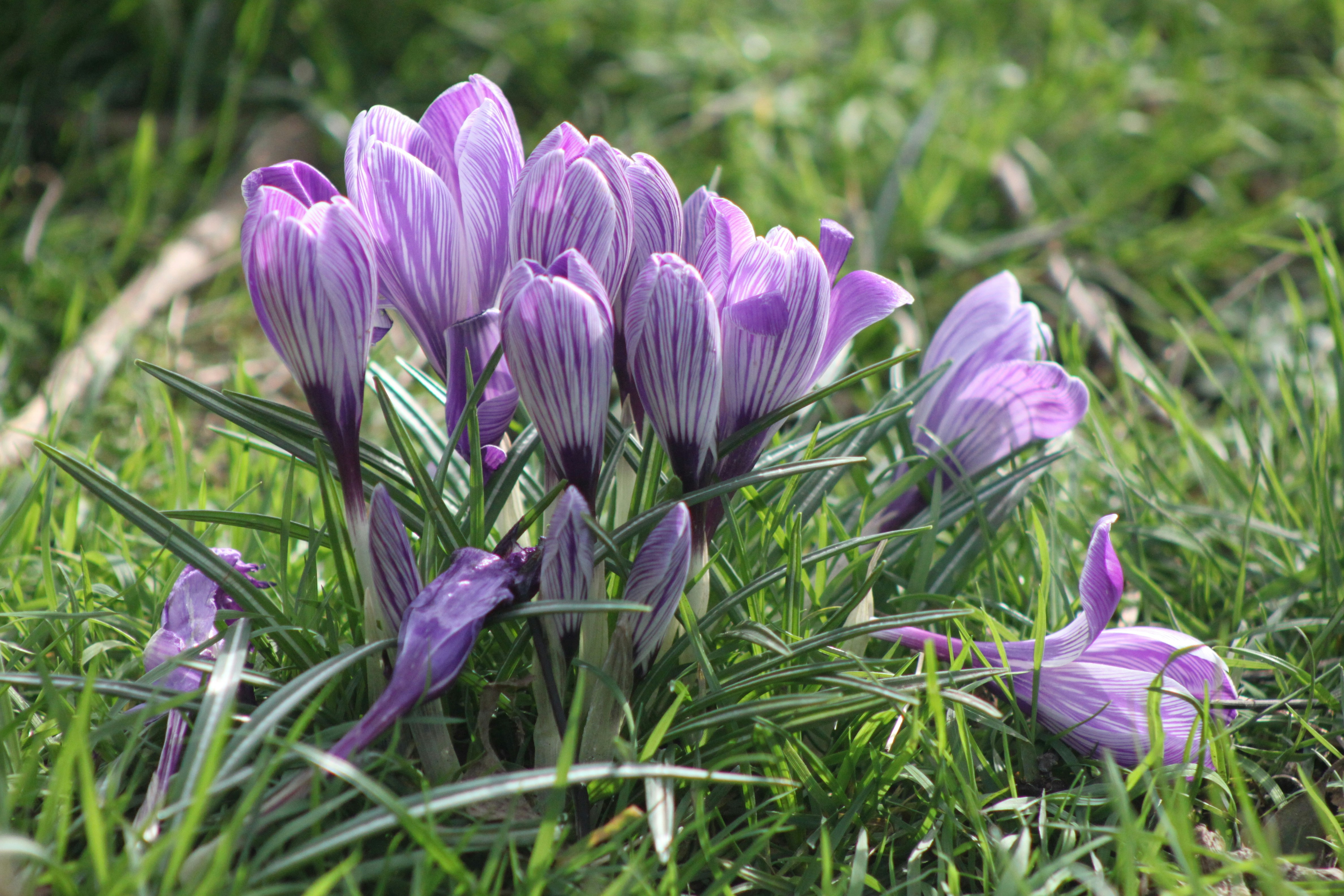 Photo by rubyphotography