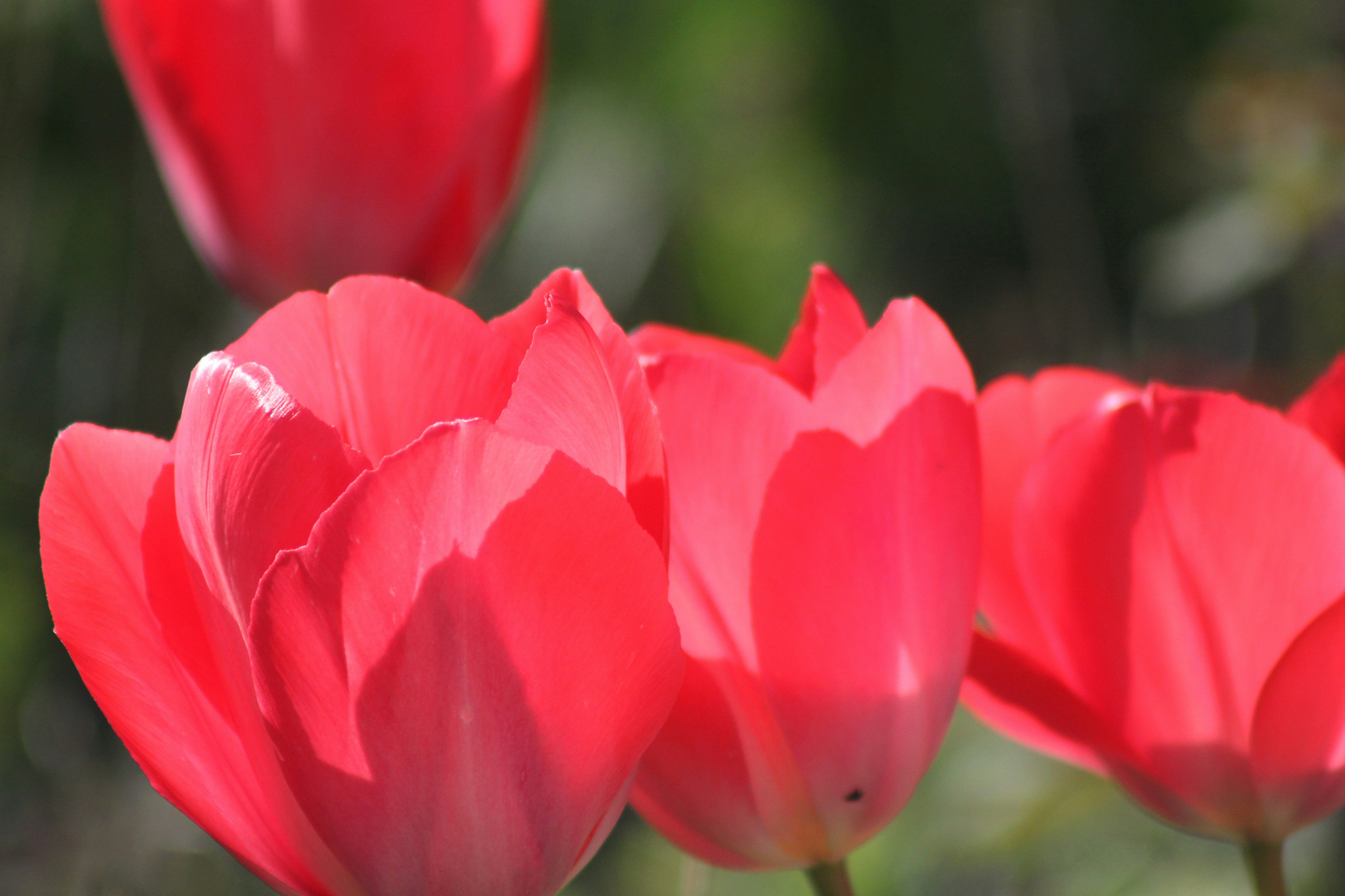 Photo by rubyphotography