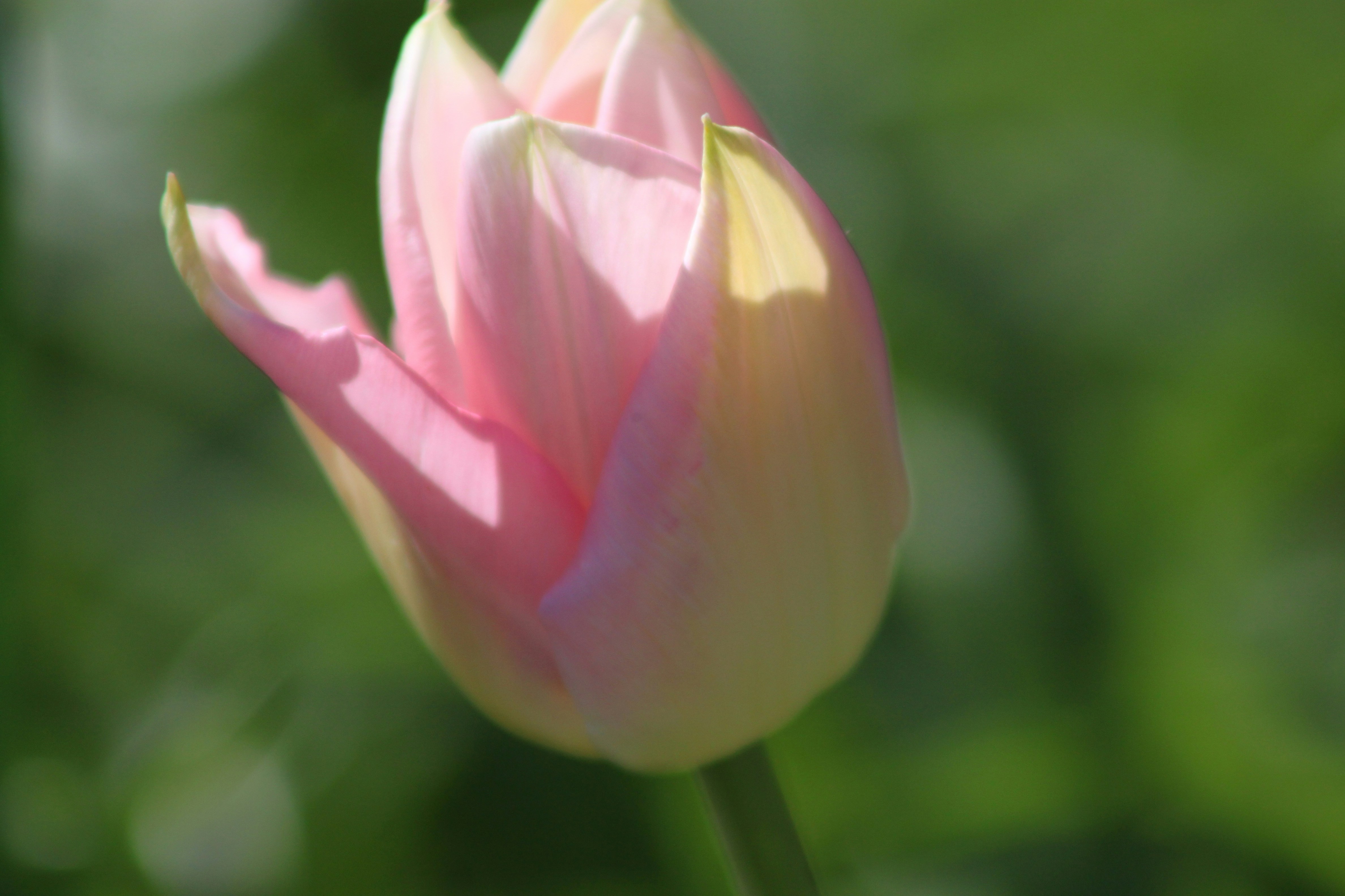 Photo by rubyphotography