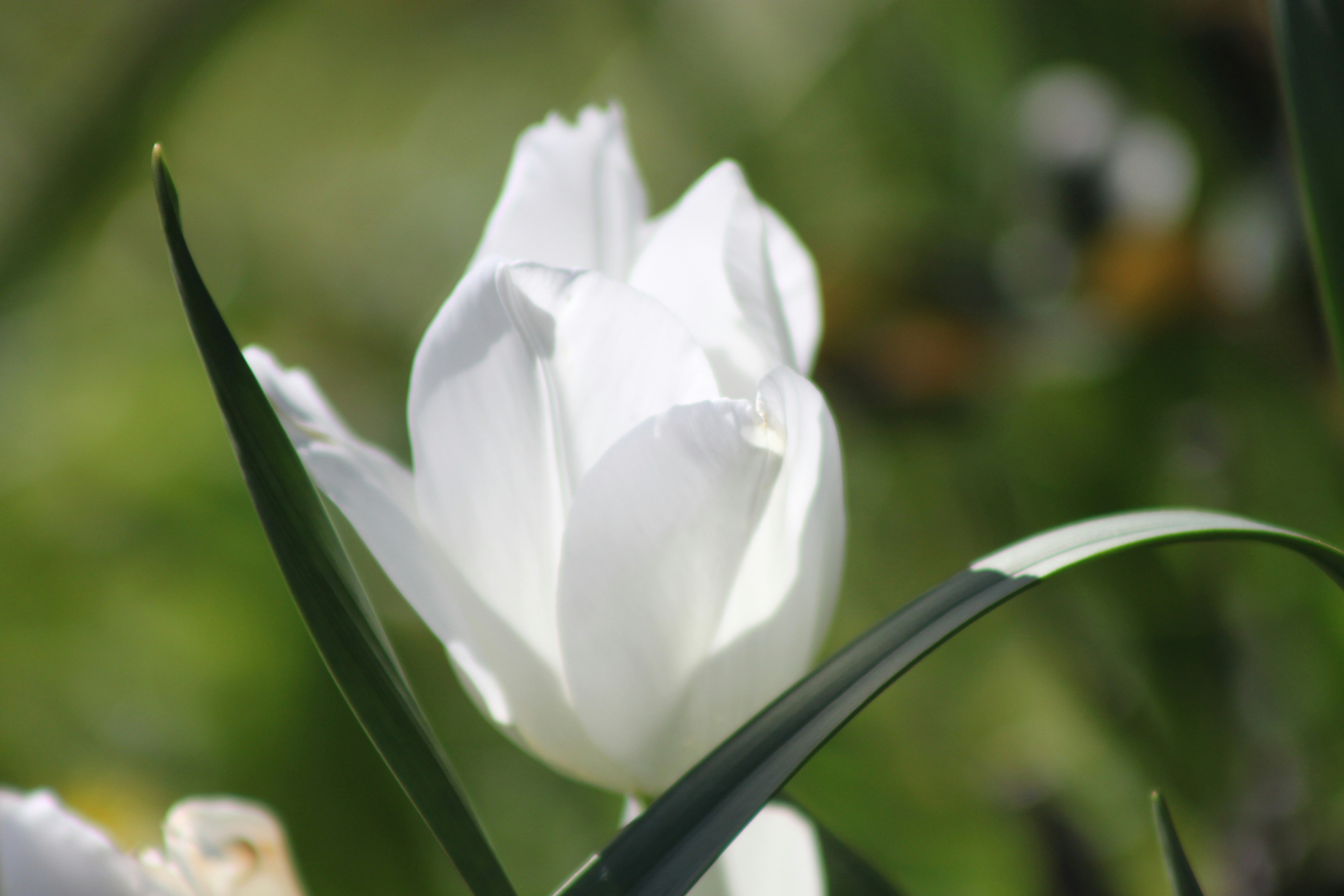 Photo by rubyphotography