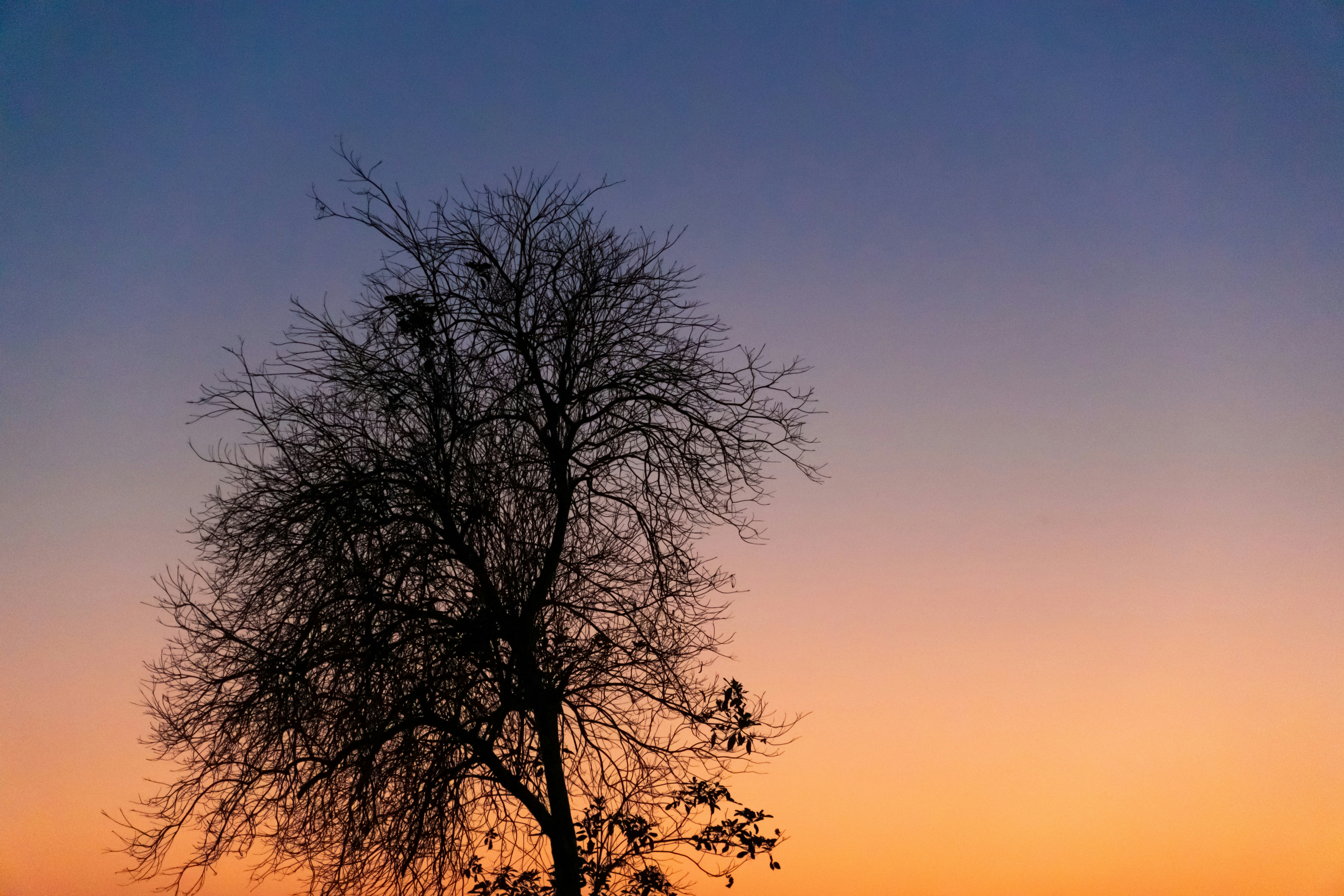 Photo by shibinjoseph