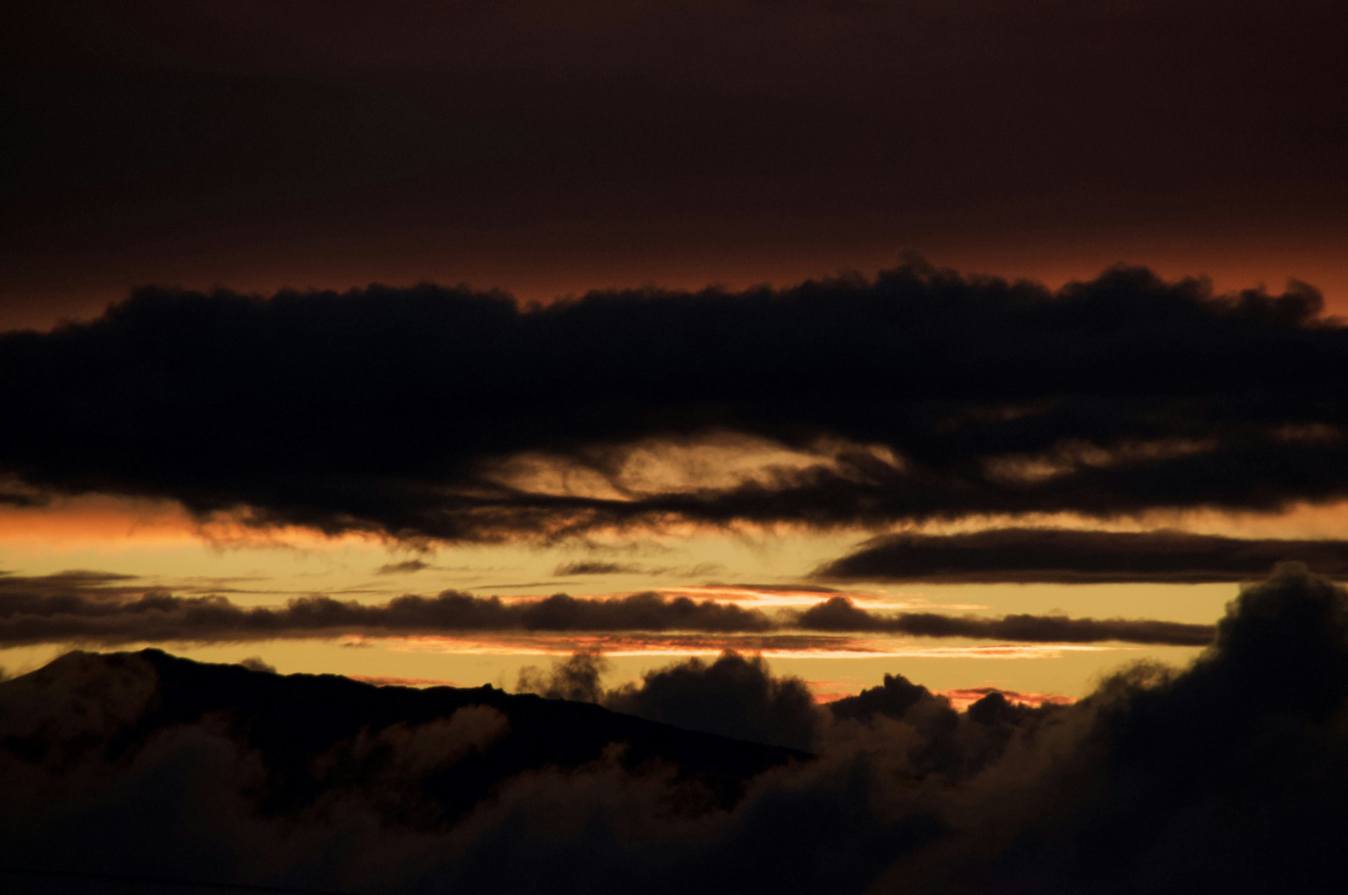 Photo by aldodepa