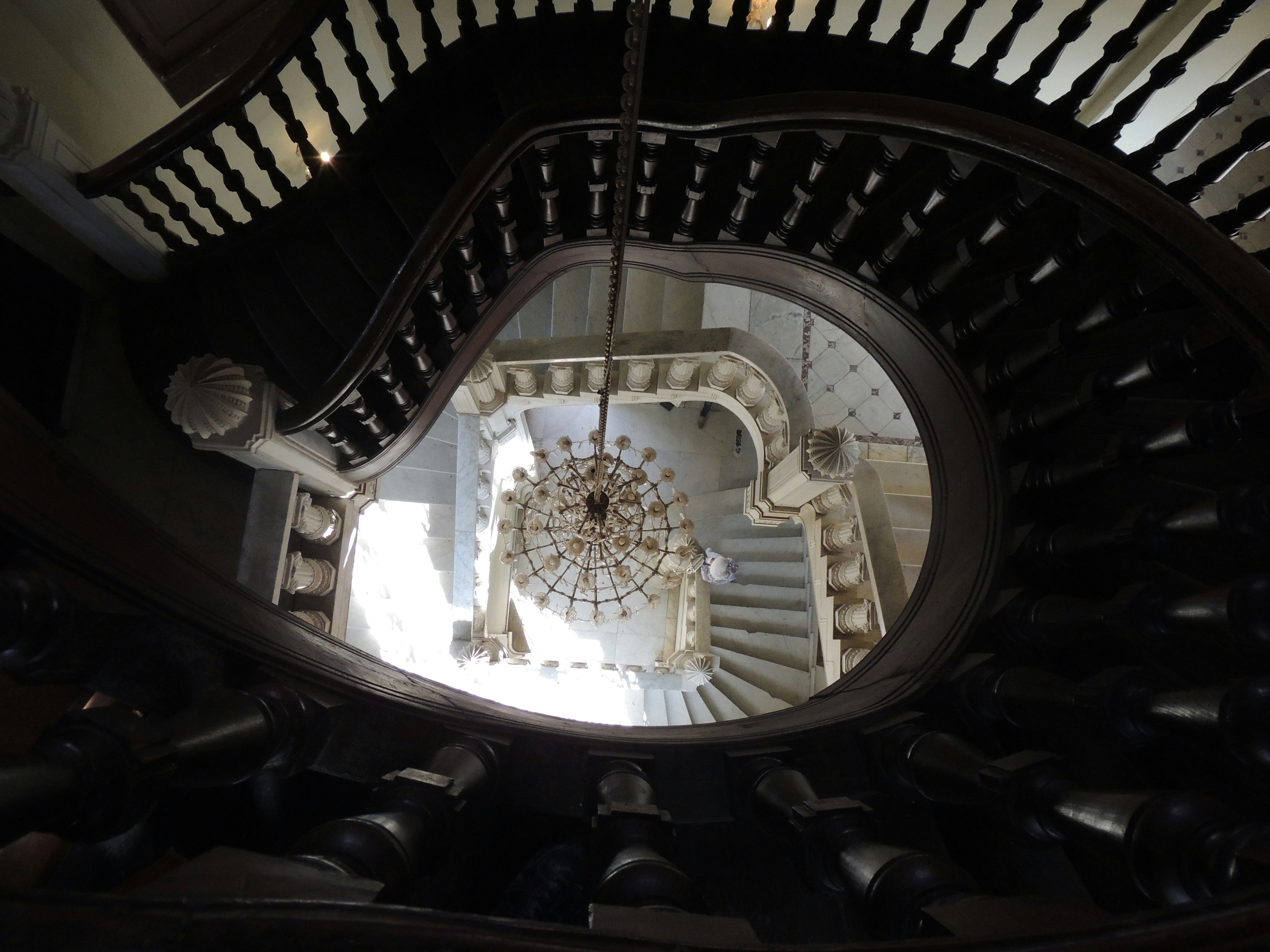 Photo by alyelsadek98