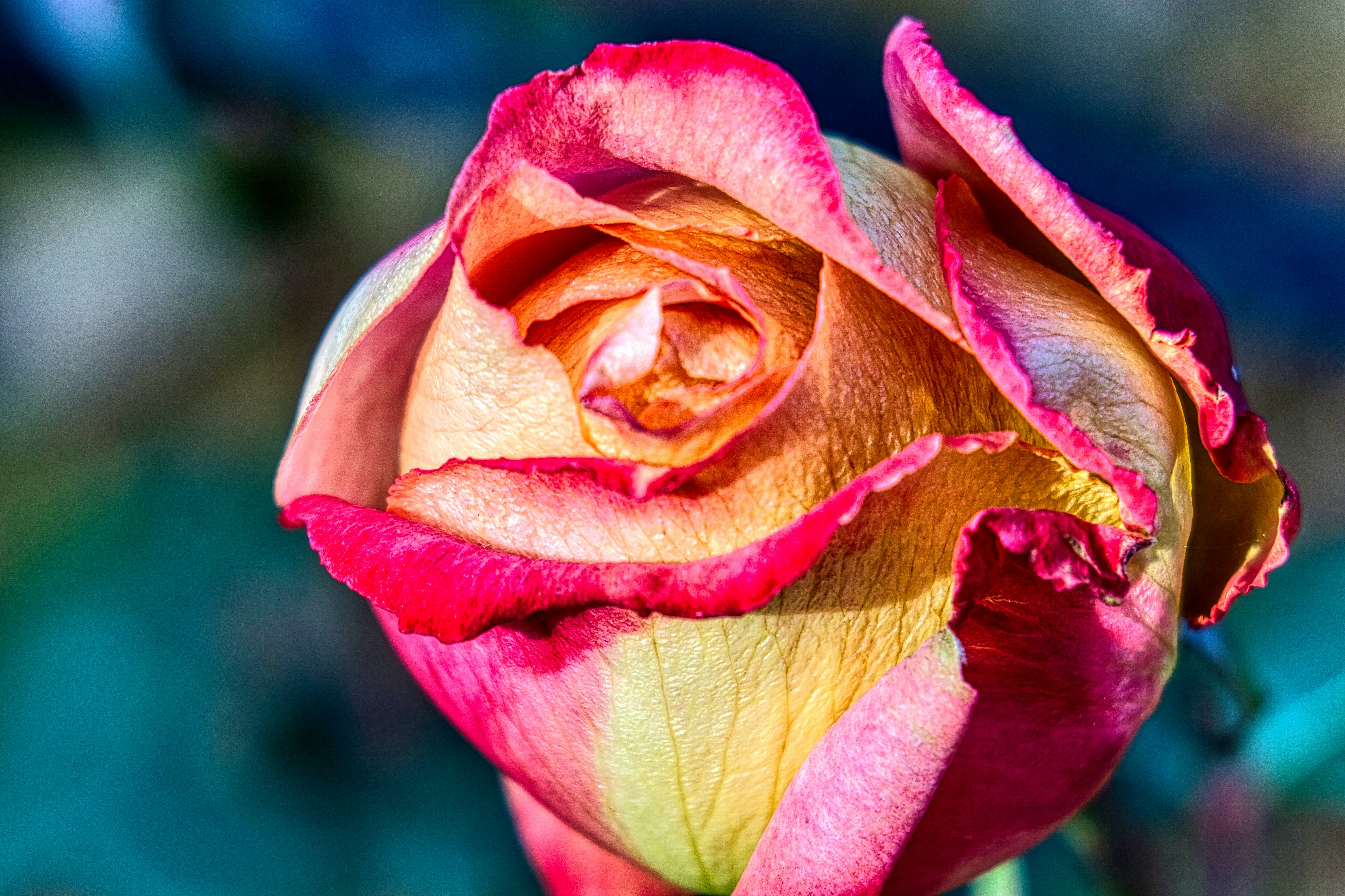 Photo by thomaskinto