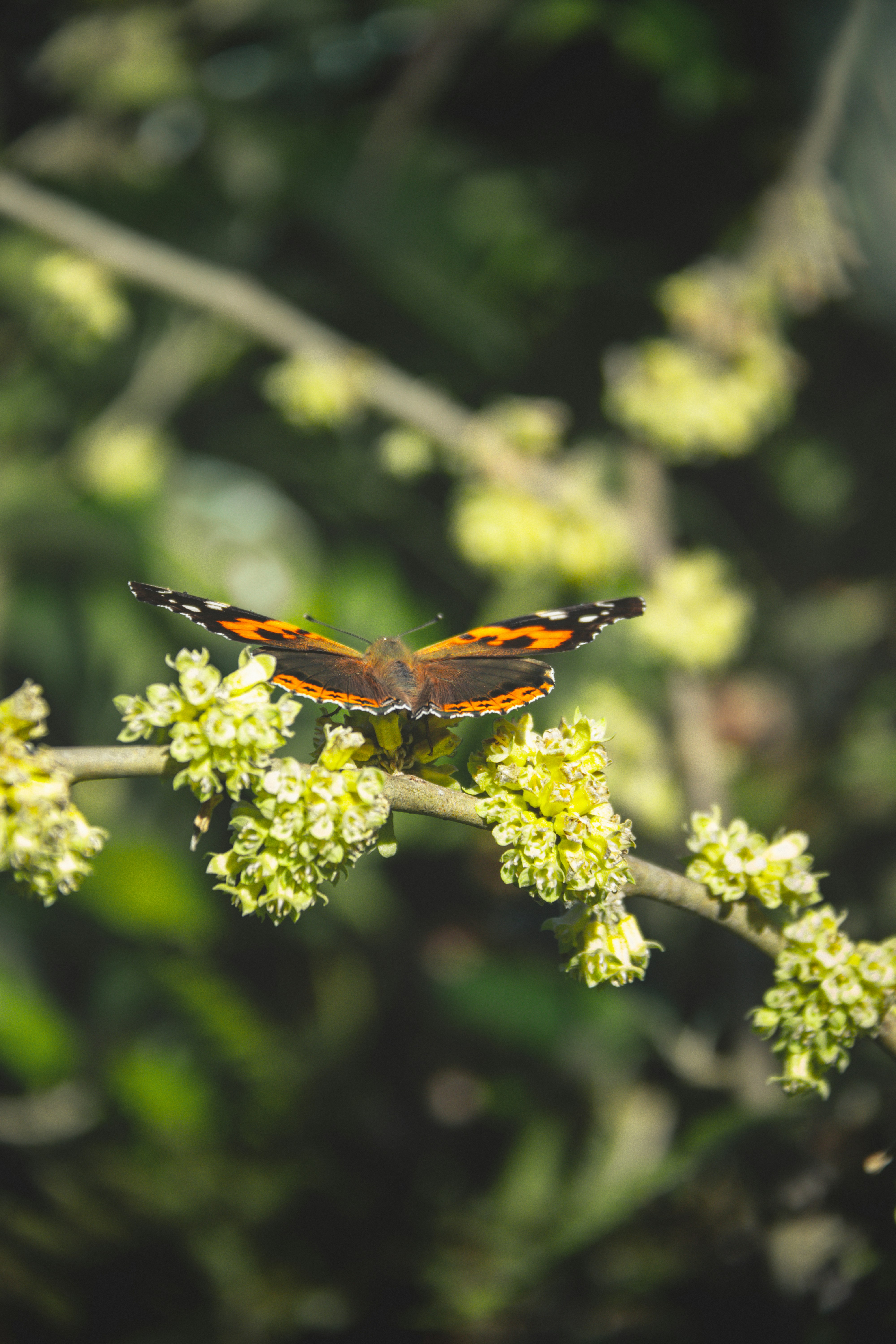 Lab Proven Potency and Terpene Profiles That Make These Brands Stand out