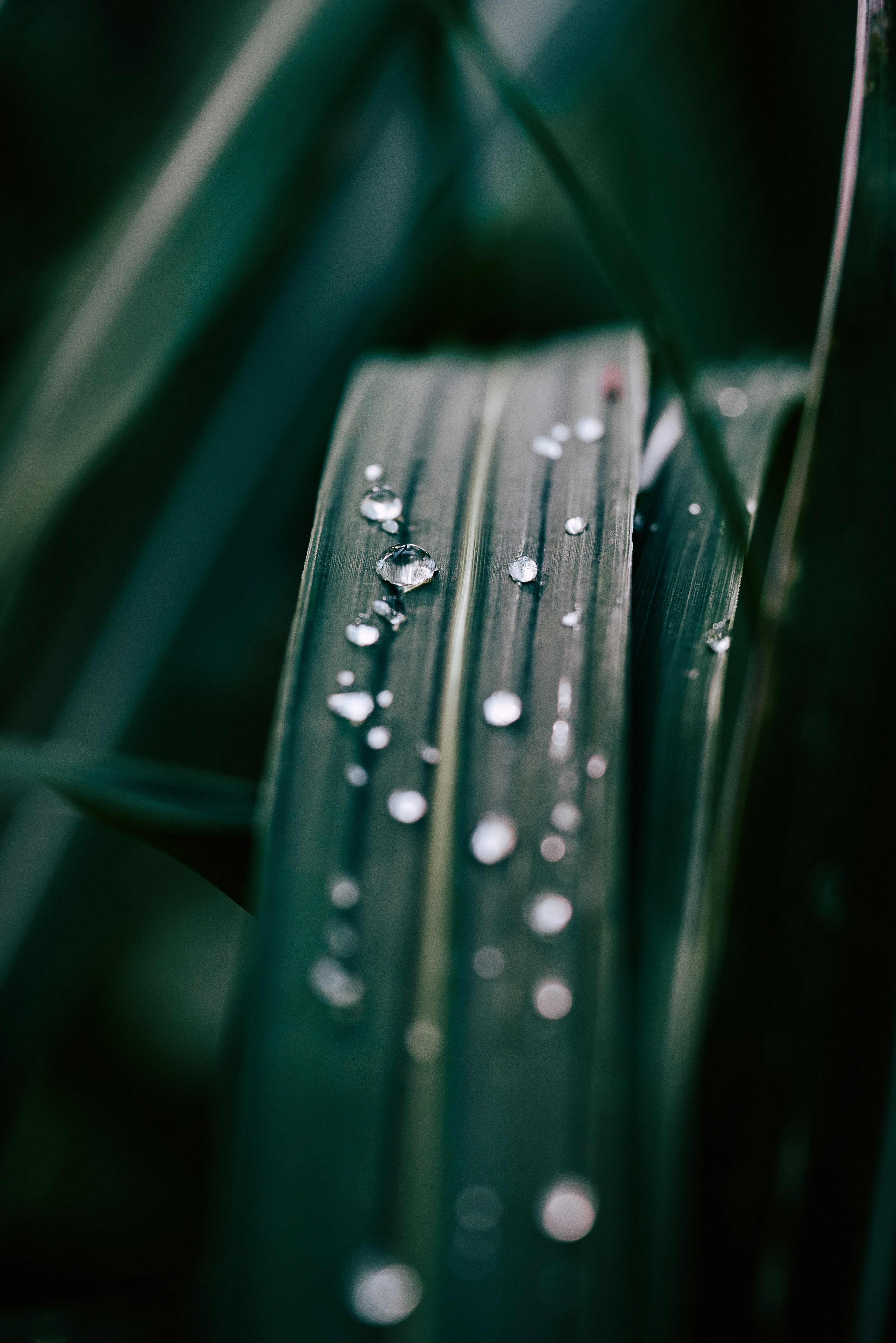 Photo by jetztabertempo