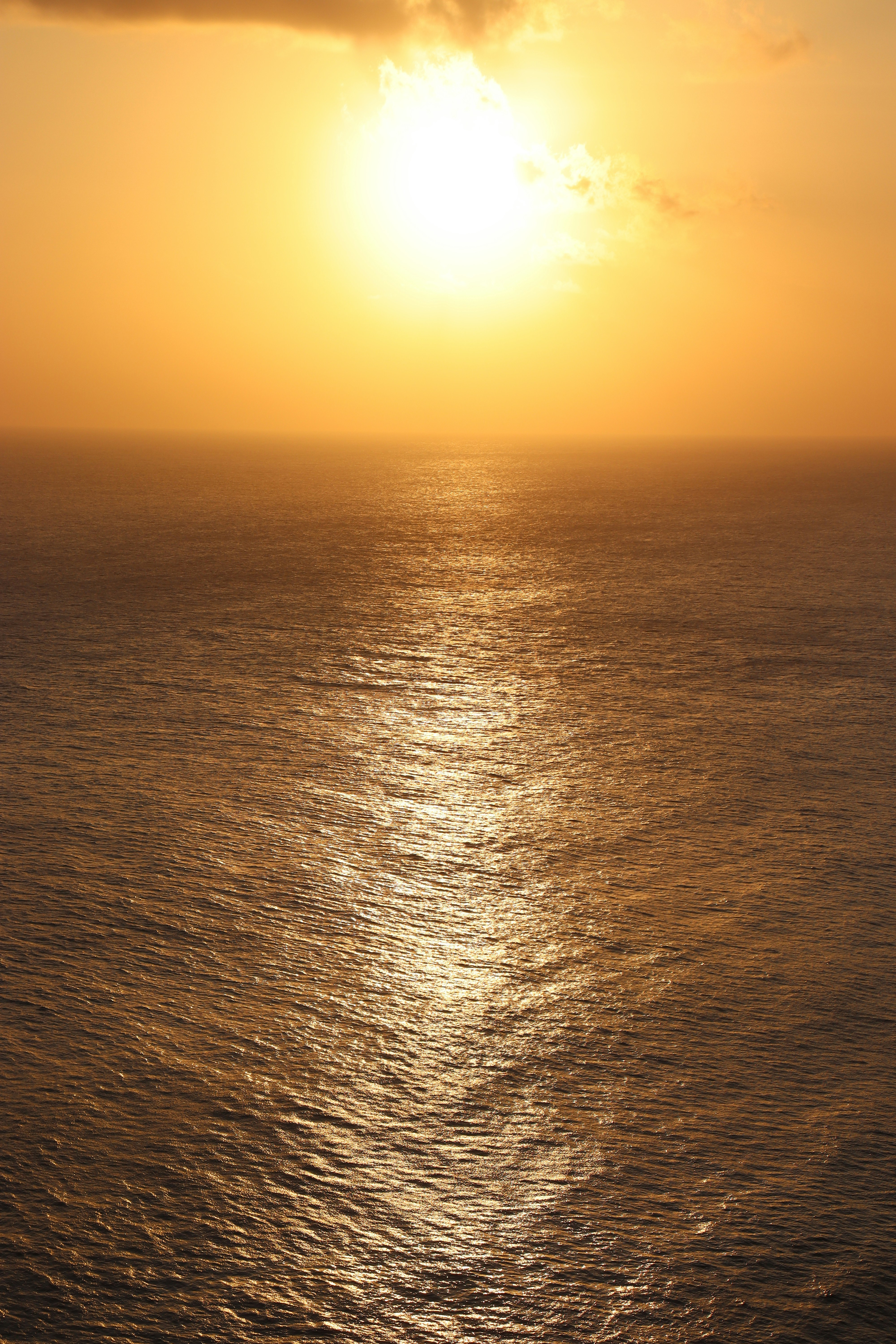 Photo by ronak_mokashi